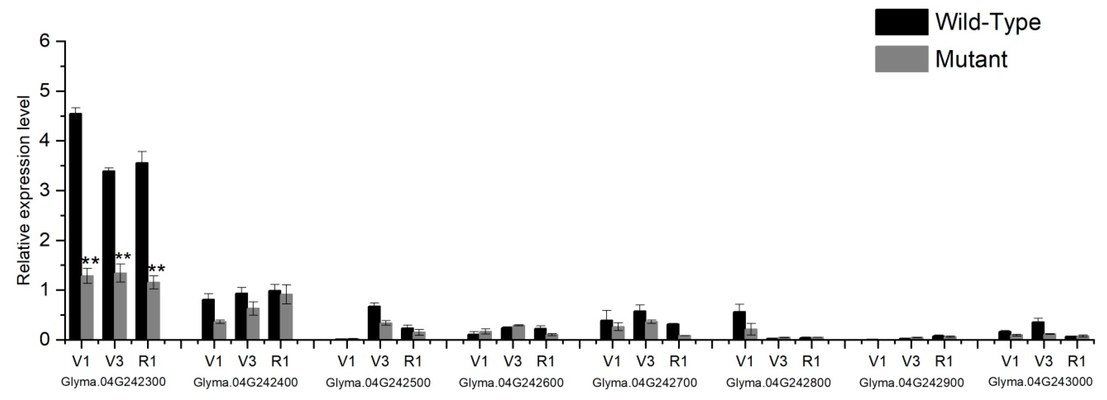 Ijms 20 02193 g008 Ijms 20 02193 g008