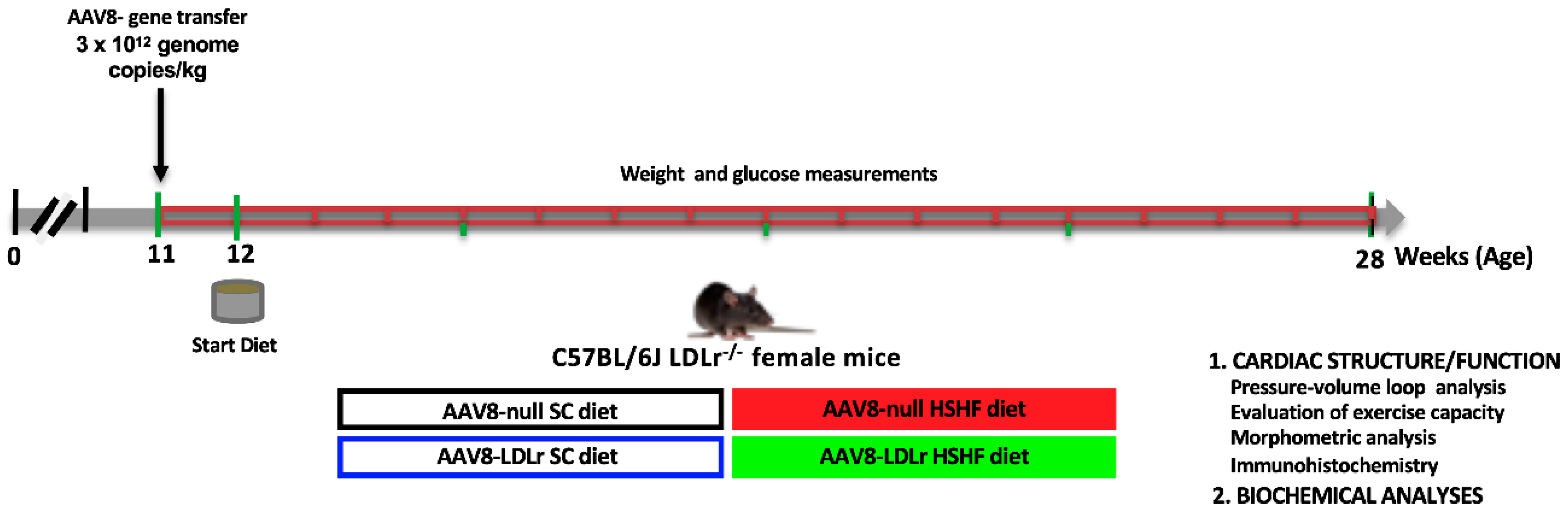 Ijms 20 02222 g001 Ijms 20 02222 g001