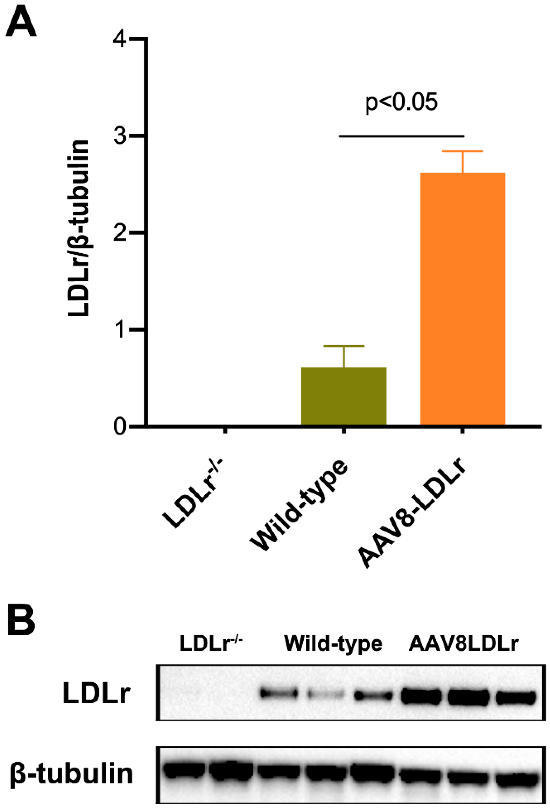Ijms 20 02222 g002 Ijms 20 02222 g002