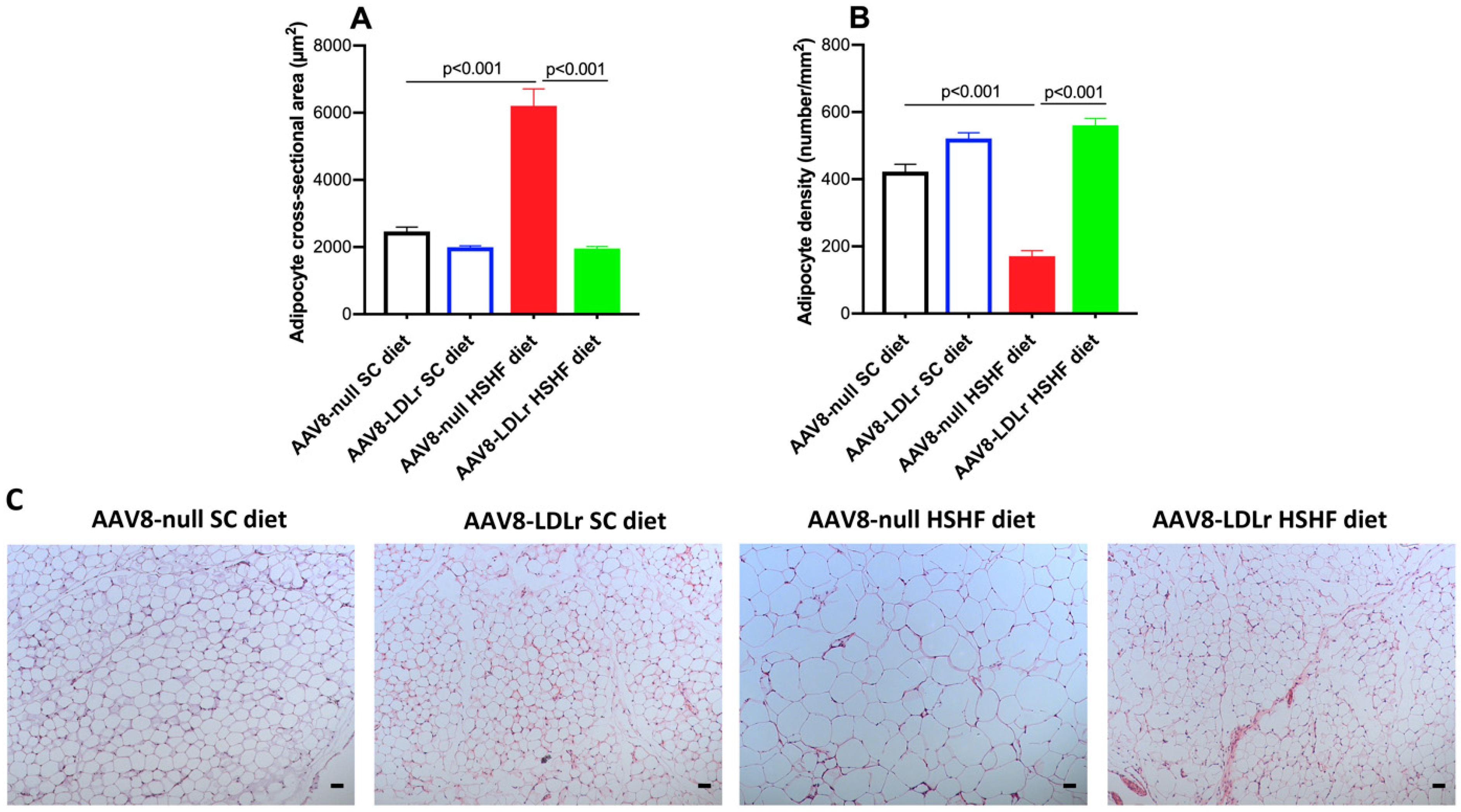 Ijms 20 02222 g004 Ijms 20 02222 g004