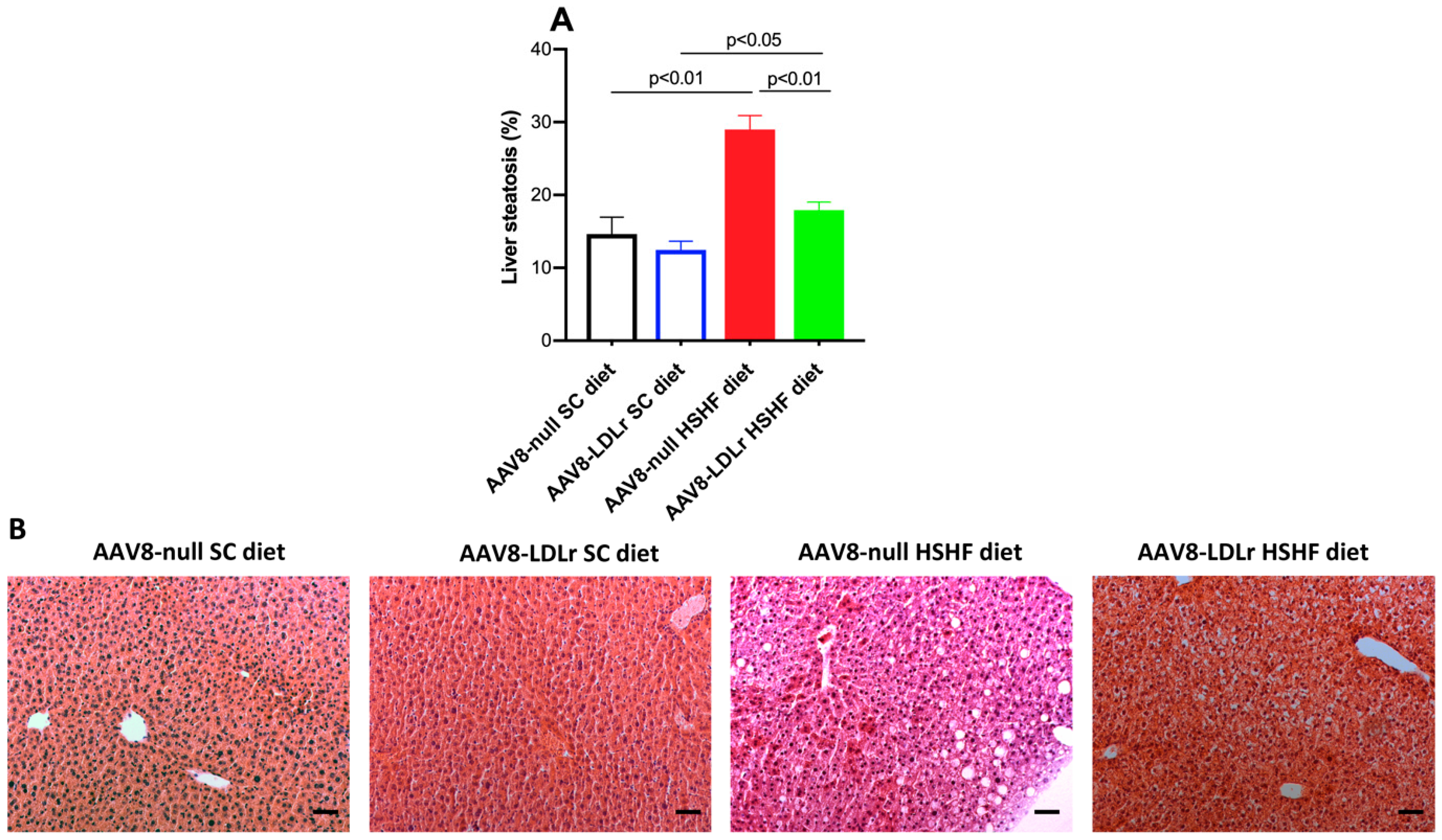 Ijms 20 02222 g007 Ijms 20 02222 g007