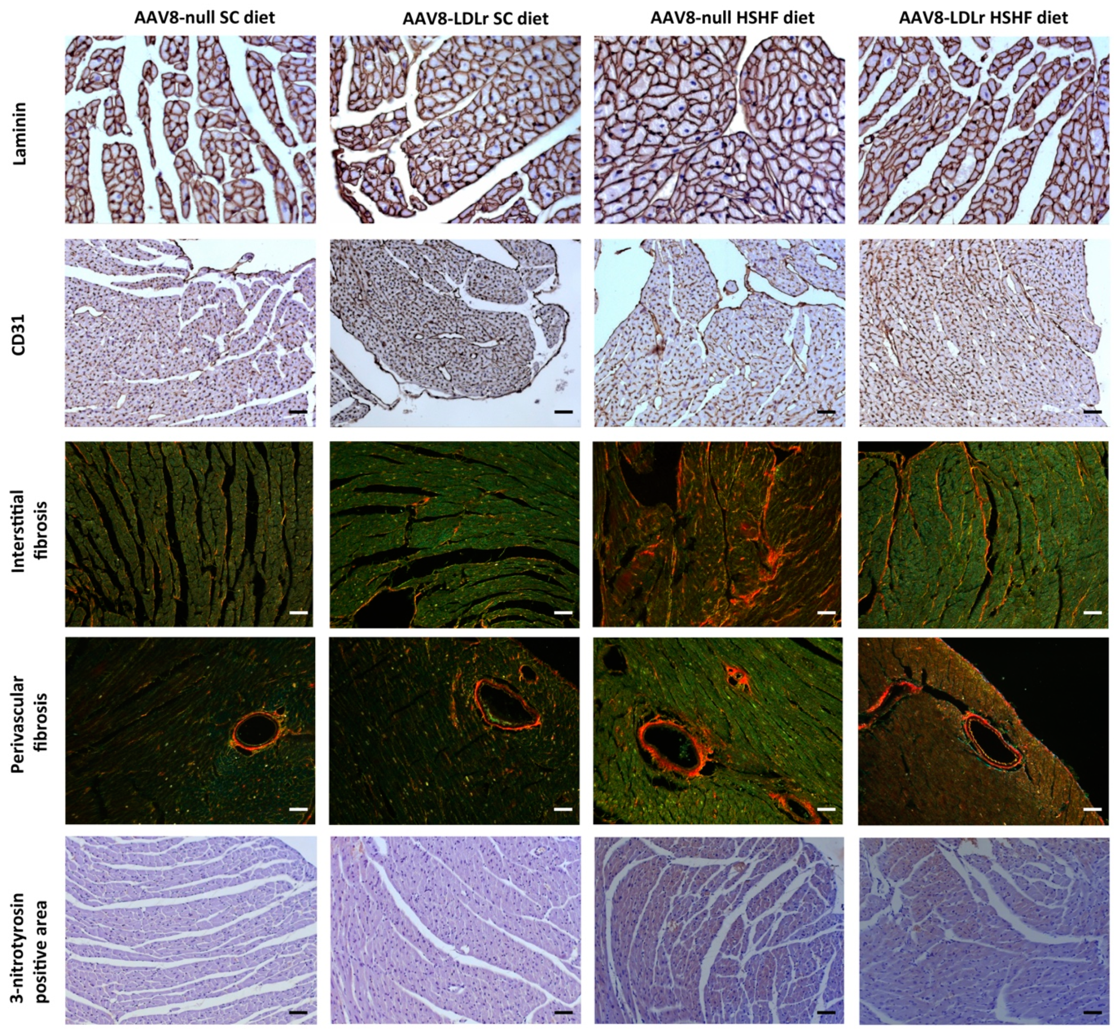 Ijms 20 02222 g009 Ijms 20 02222 g009