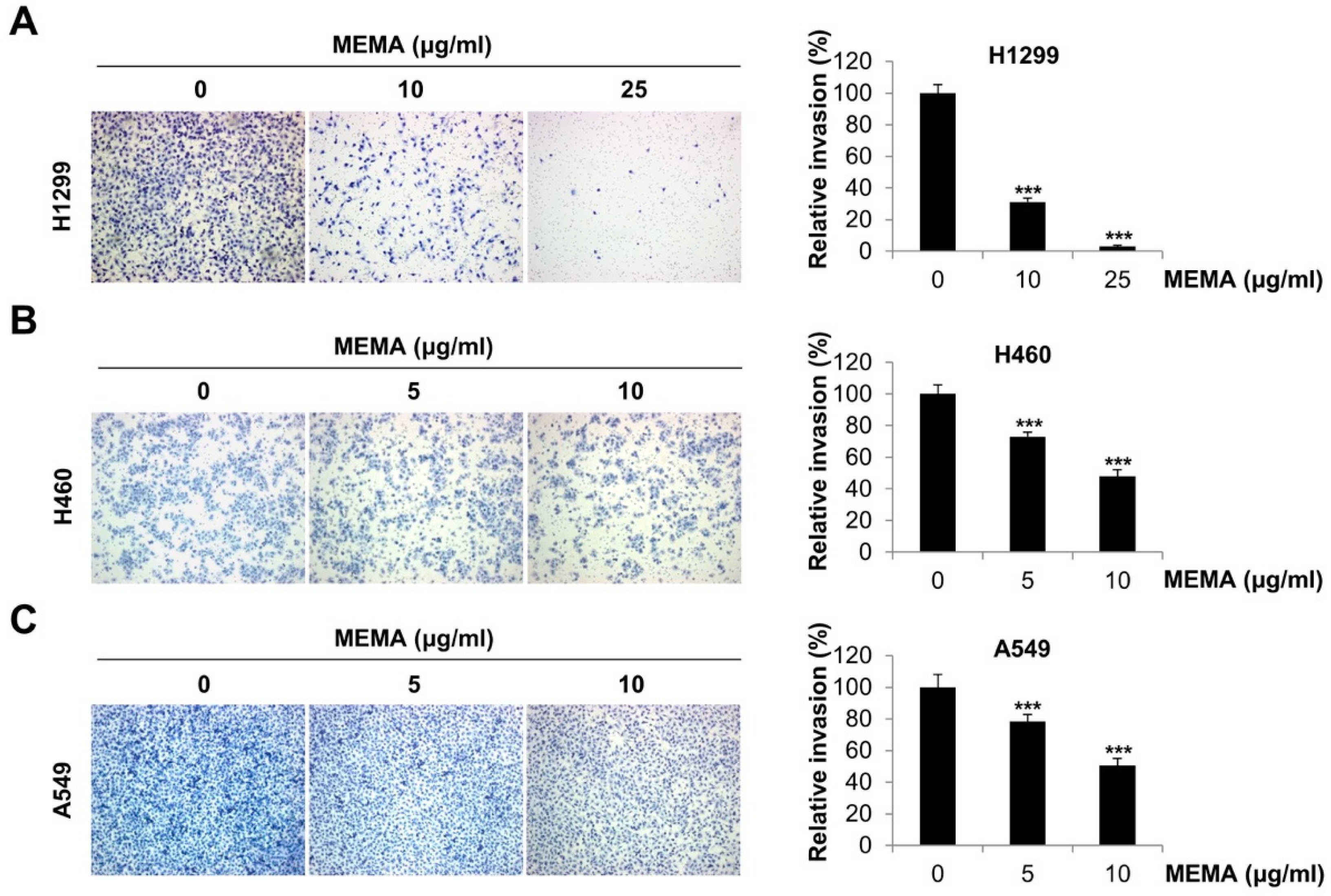 Ijms 20 02244 g004 Ijms 20 02244 g004