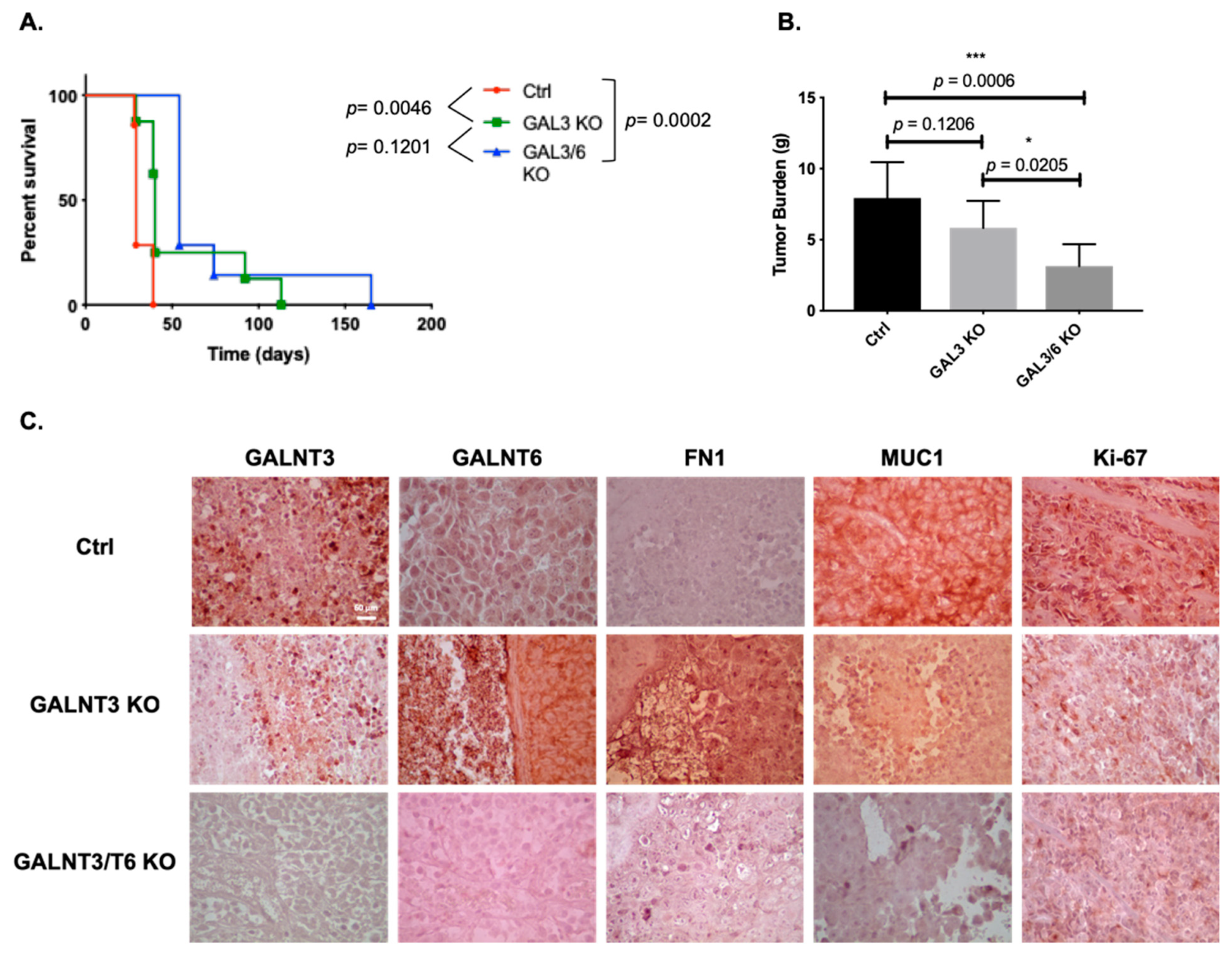 Ijms 20 02264 g006 Ijms 20 02264 g006