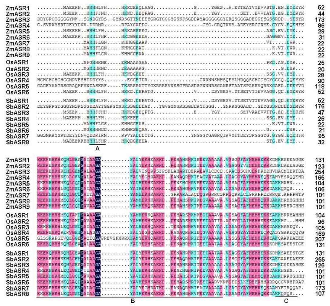 Ijms 20 02278 g001 Ijms 20 02278 g001