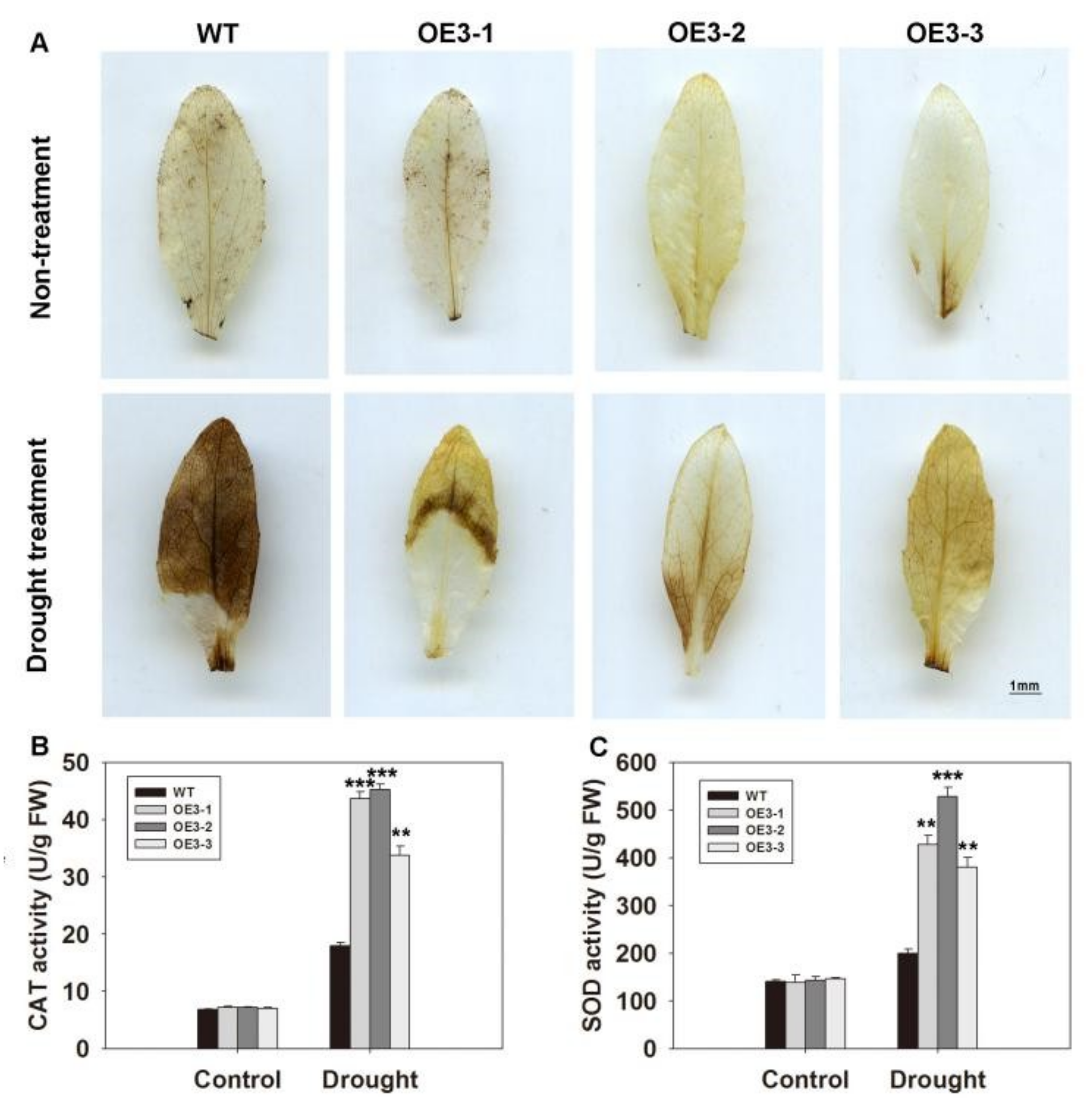 Ijms 20 02278 g007 Ijms 20 02278 g007