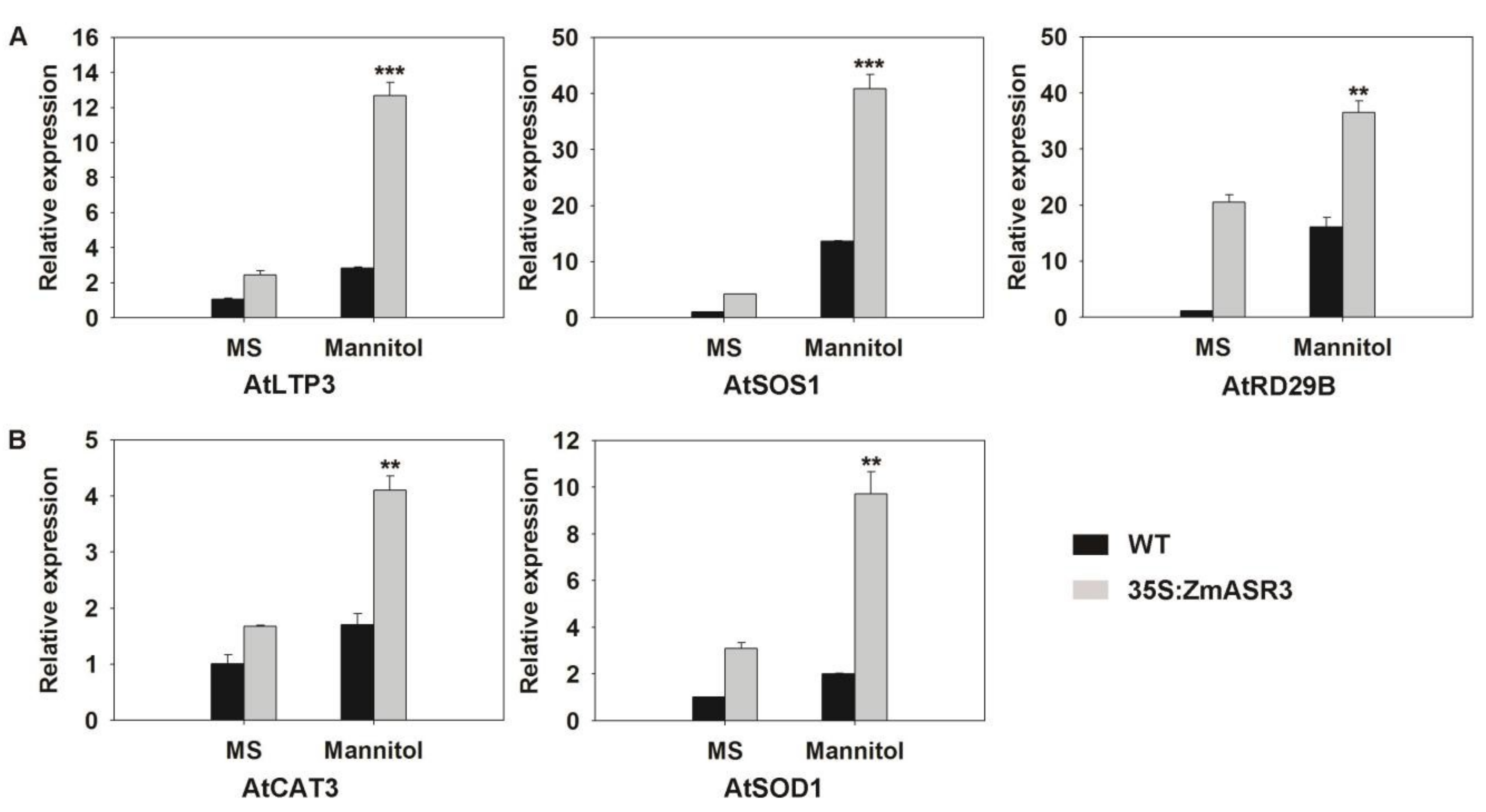 Ijms 20 02278 g008 Ijms 20 02278 g008