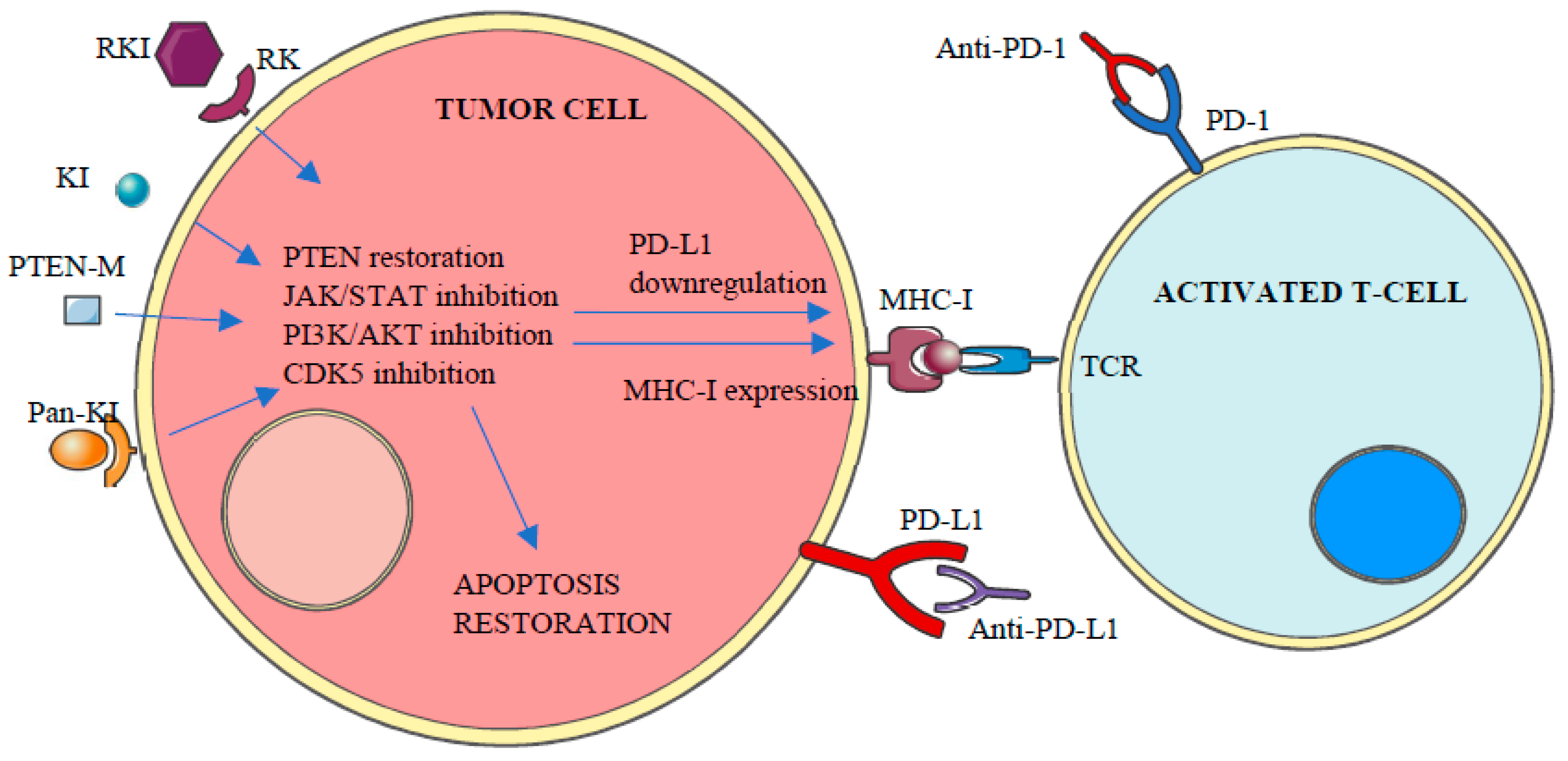Targeting Protein Kinases to Enhance the Response to anti-PD-1/PD-L1 Immunotherapy