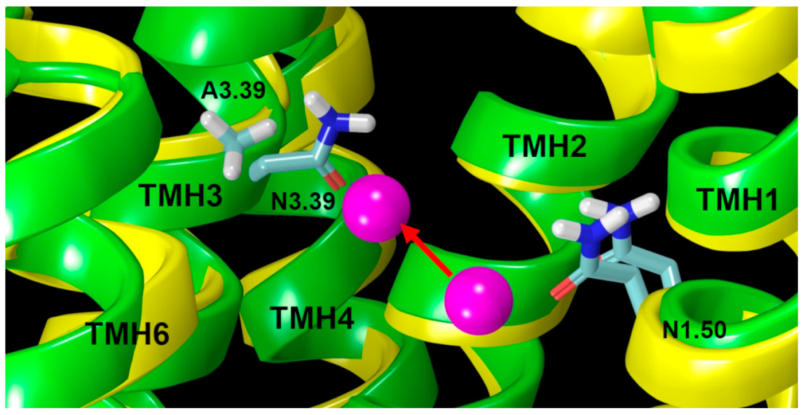 Ijms 20 02300 g008 Ijms 20 02300 g008