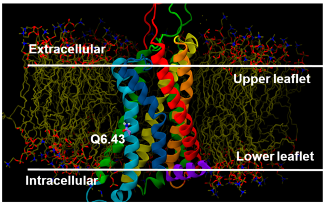 Ijms 20 02300 g012 Ijms 20 02300 g012