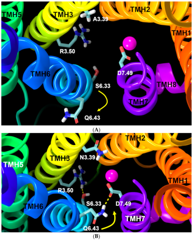 Ijms 20 02300 g013 Ijms 20 02300 g013