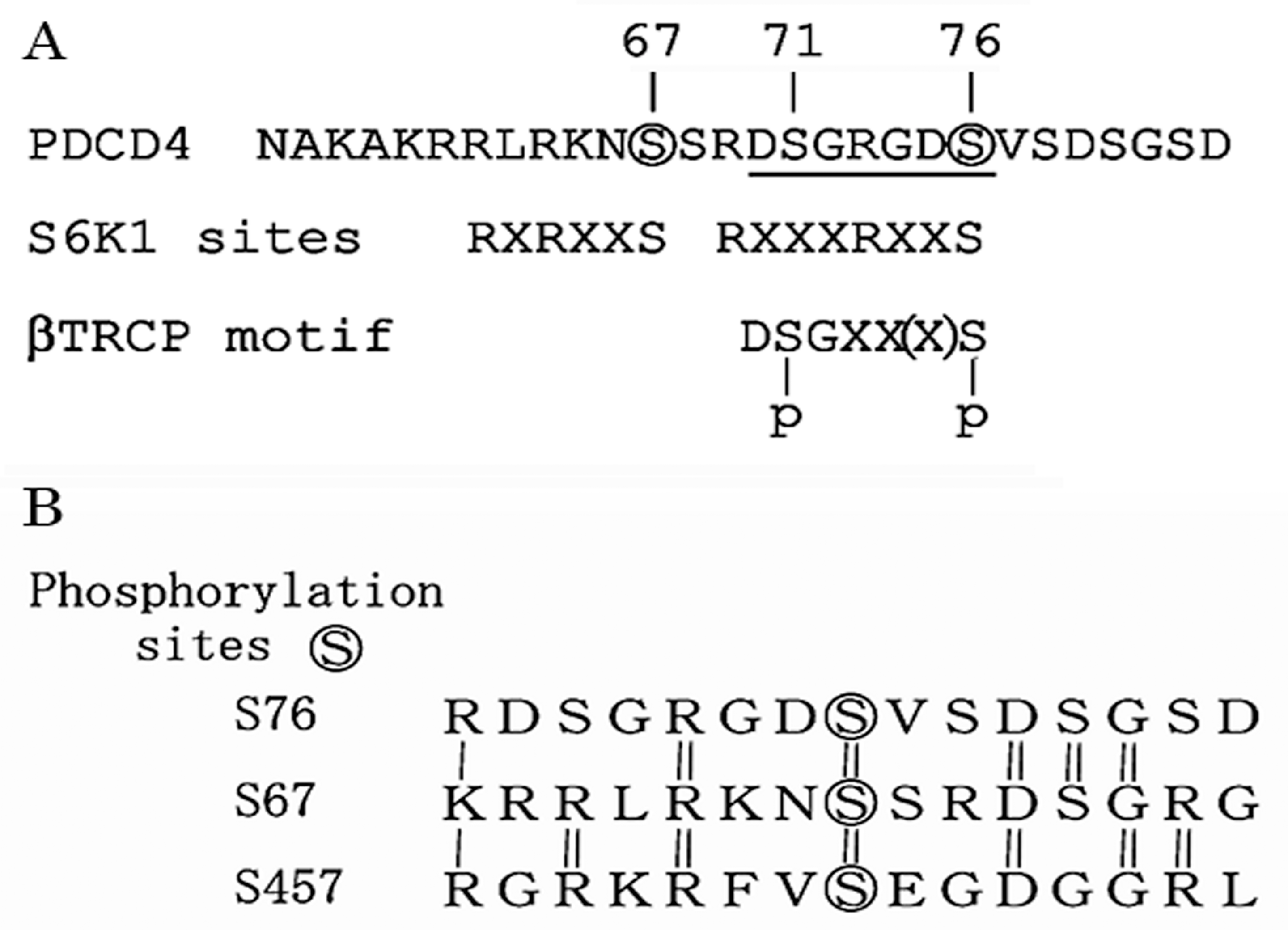 Ijms 20 02304 g006 Ijms 20 02304 g006