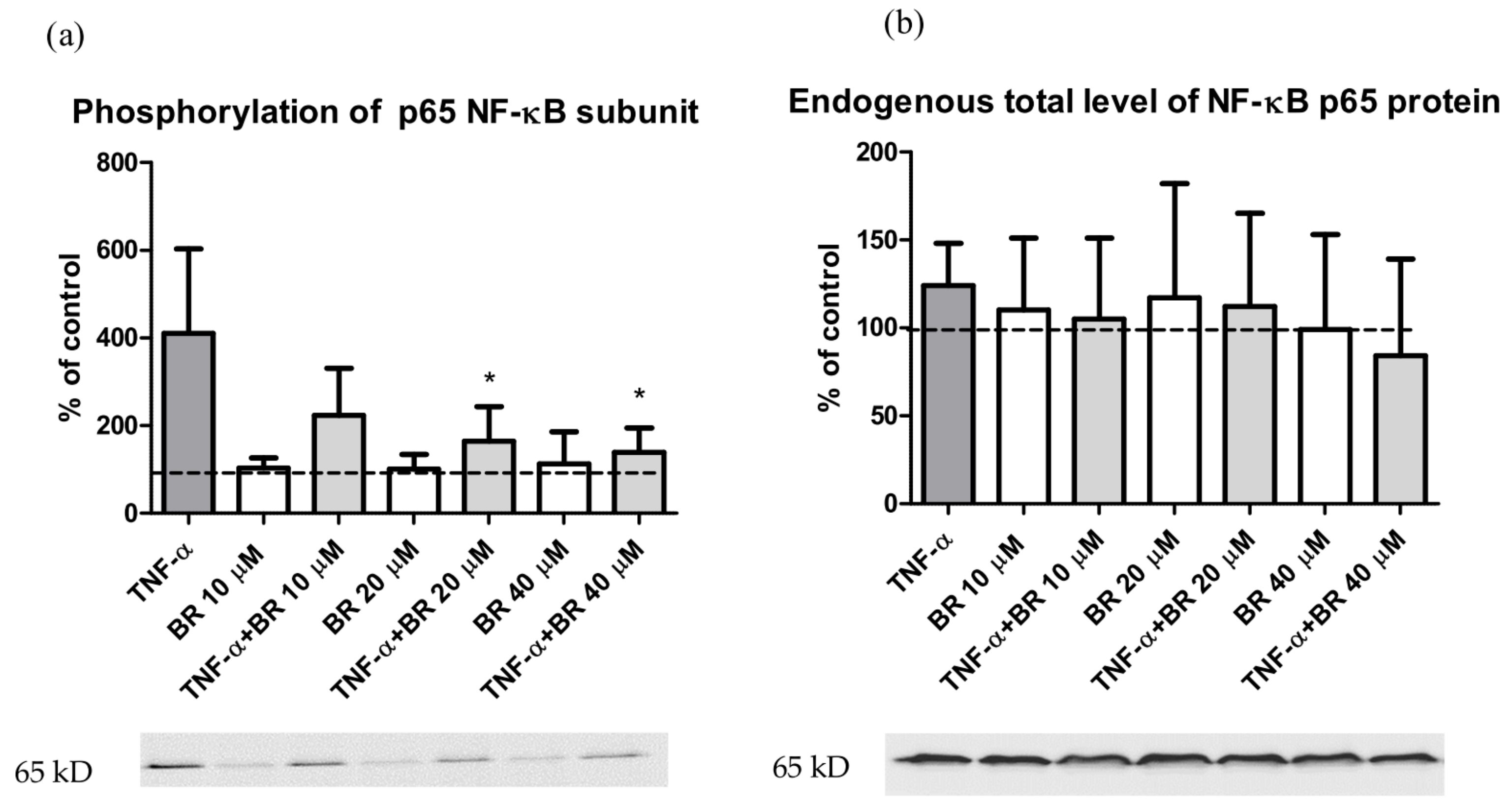 Ijms 20 02306 g006 Ijms 20 02306 g006