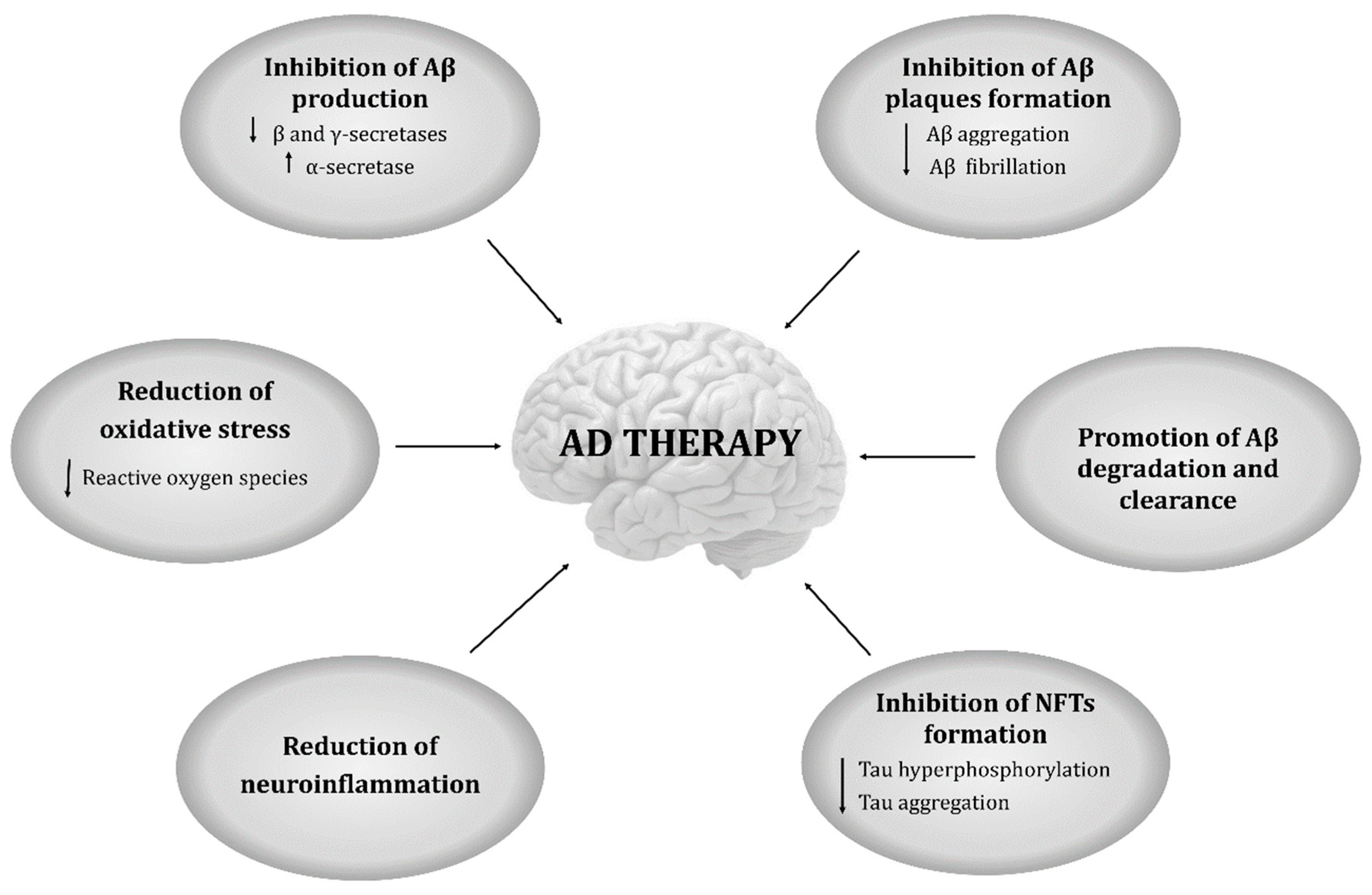 Ijms Free Full Text Natural Compounds For Alzheimer S Disease Therapy A Systematic Review Of Preclinical And Clinical Studies Html