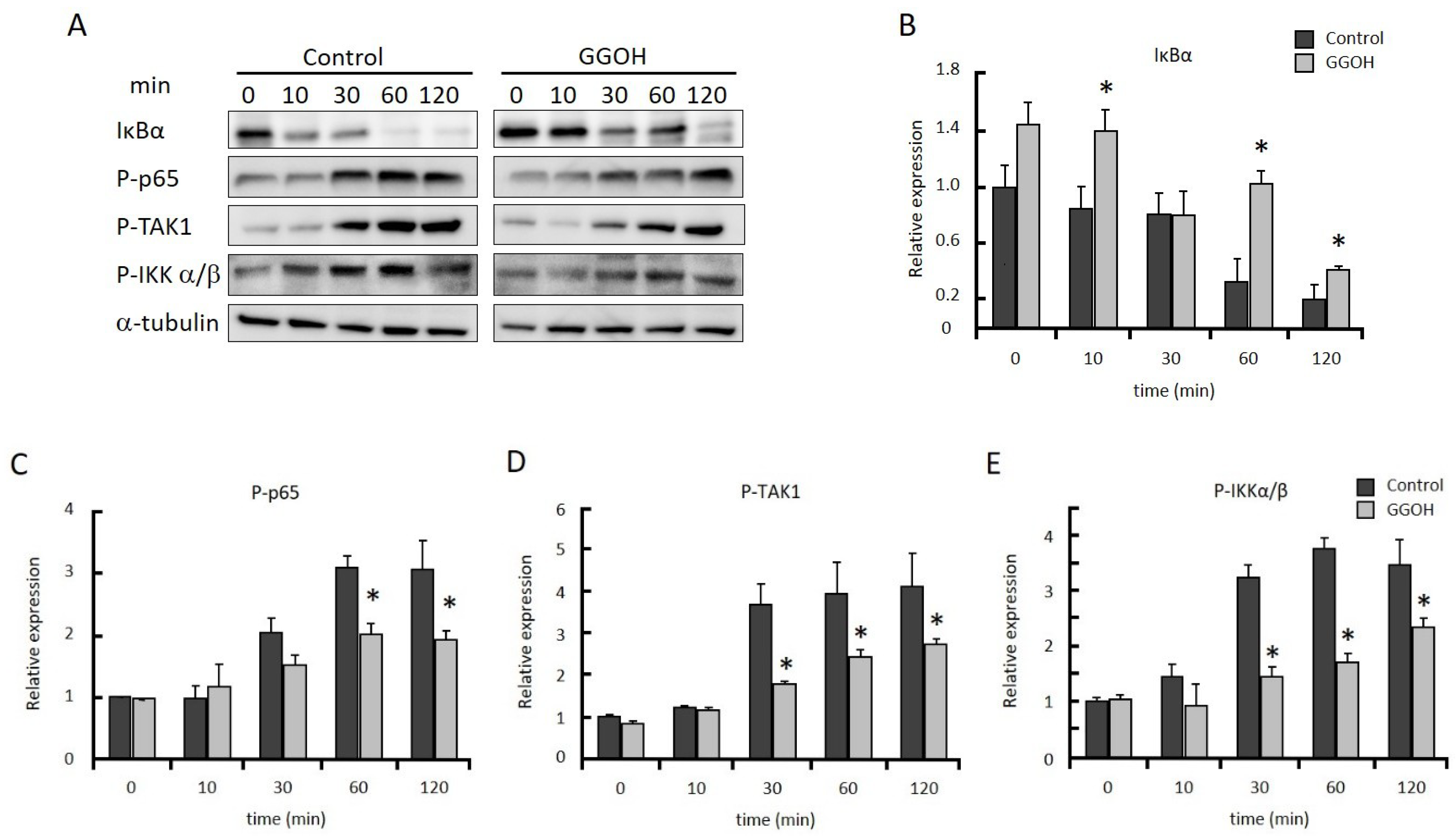 Ijms 20 02320 g002 Ijms 20 02320 g002