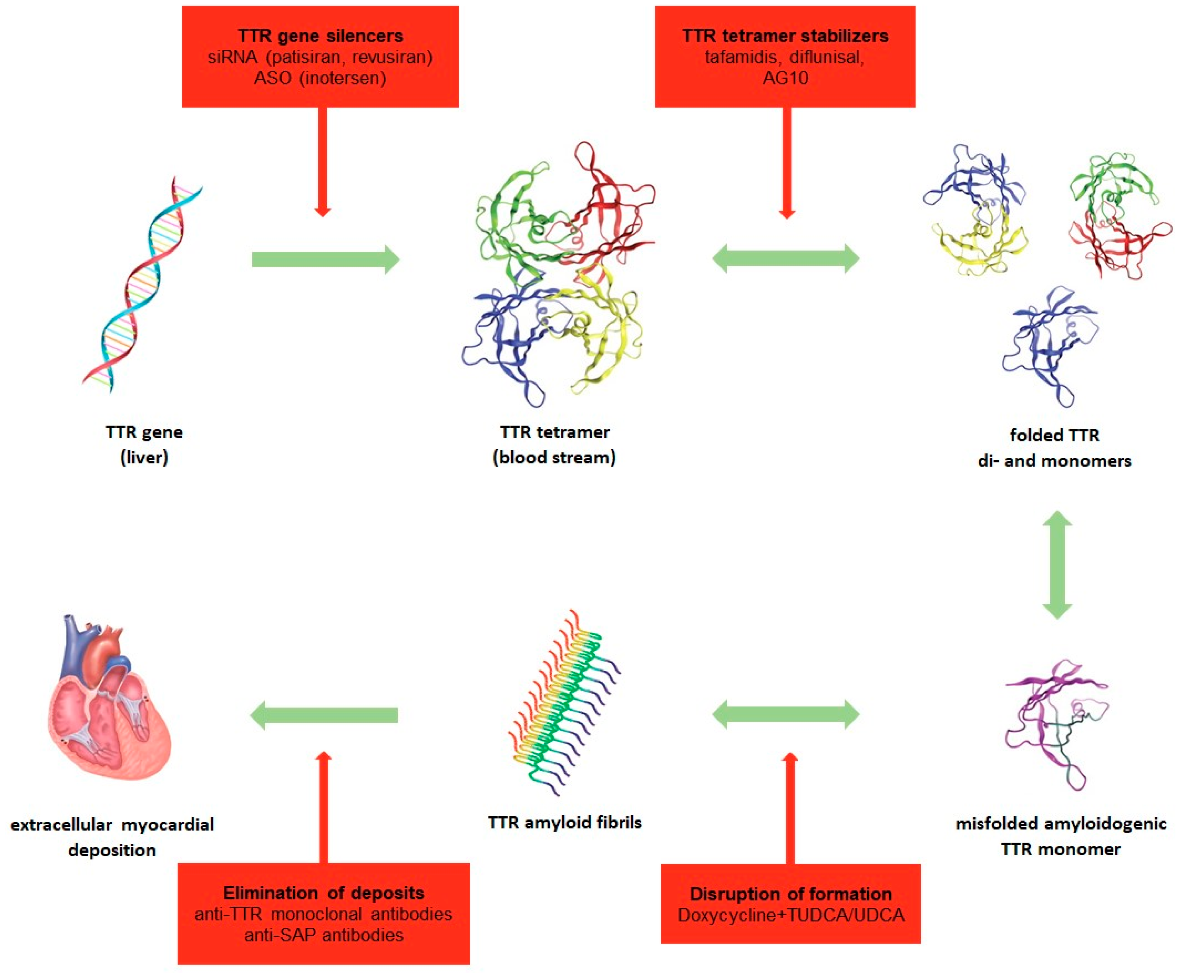 Ijms 20 02322 g001 Ijms 20 02322 g001