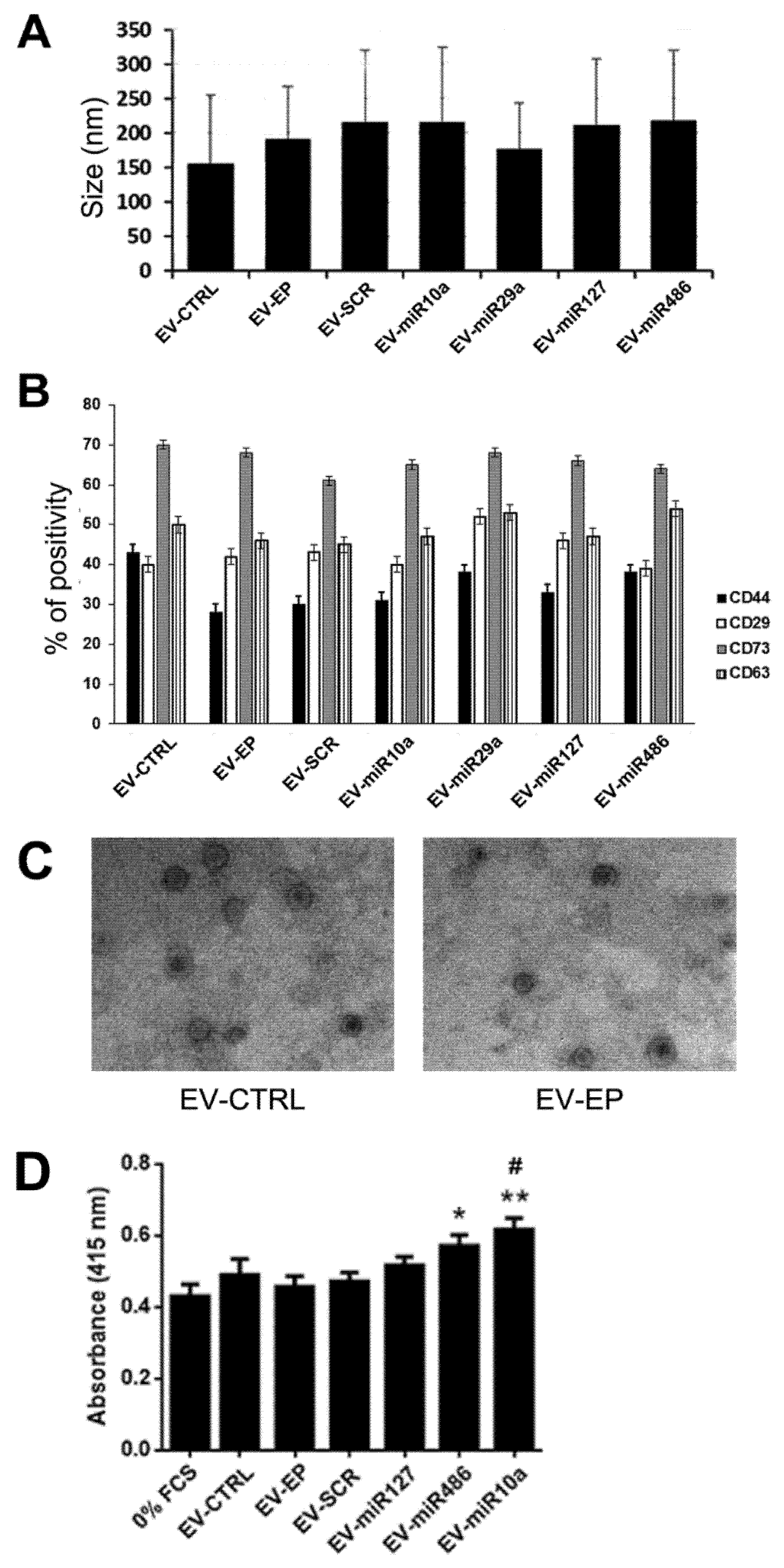 Ijms 20 02381 g004 Ijms 20 02381 g004