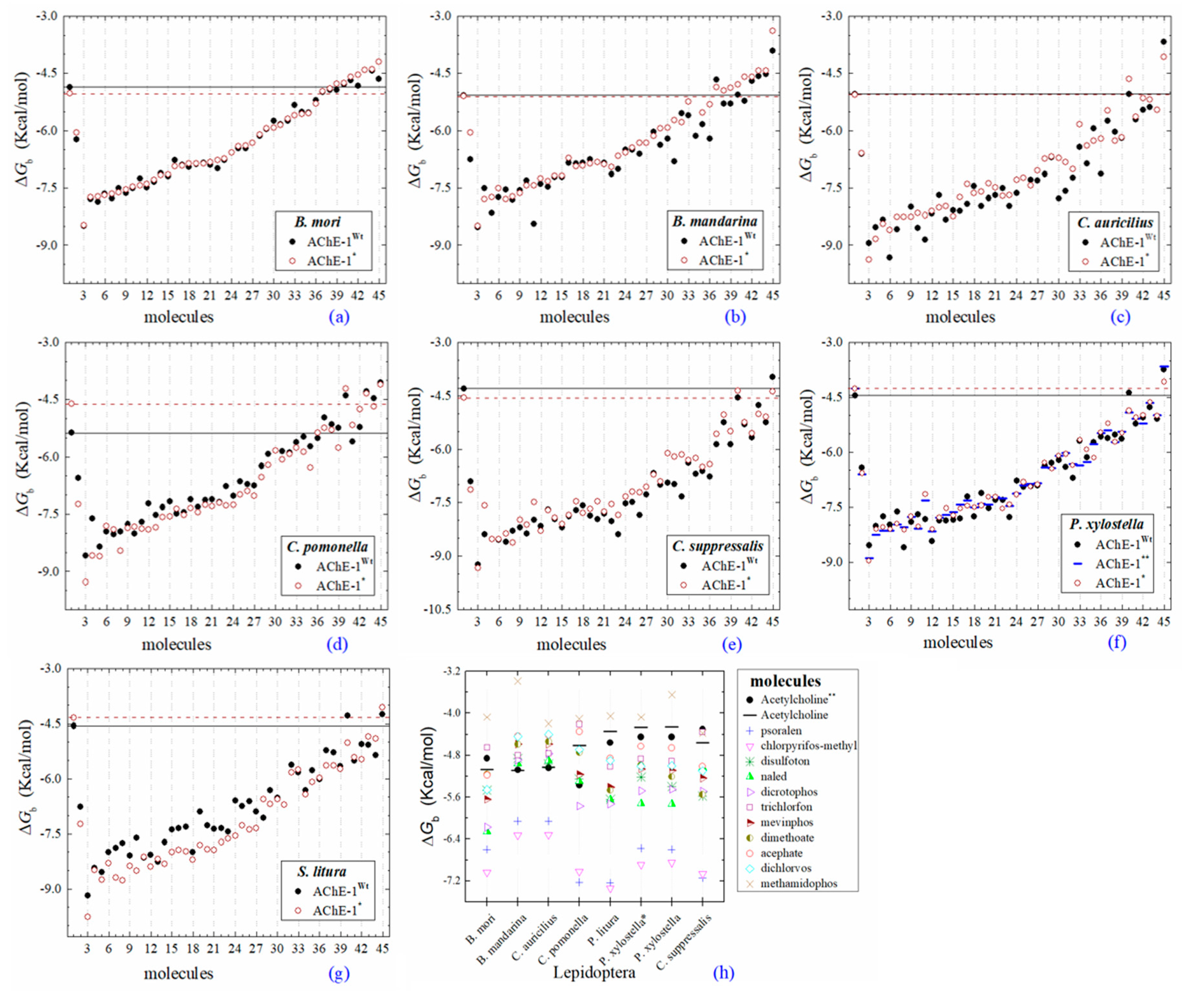 Ijms 20 02404 g004 Ijms 20 02404 g004
