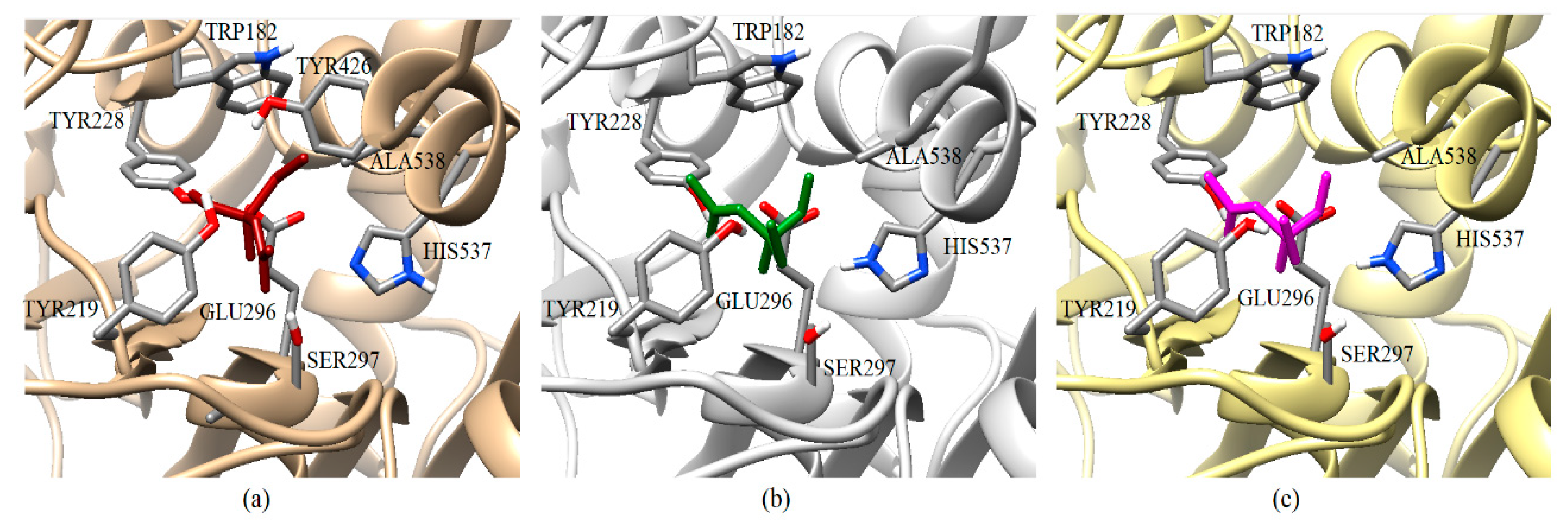 Ijms 20 02404 g007 Ijms 20 02404 g007