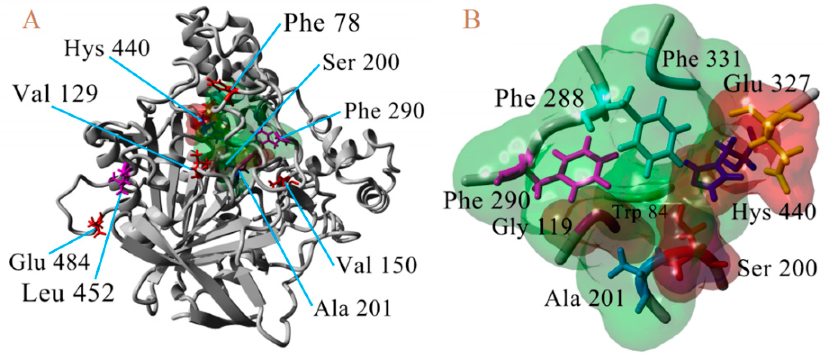 Ijms 20 02404 g008 Ijms 20 02404 g008