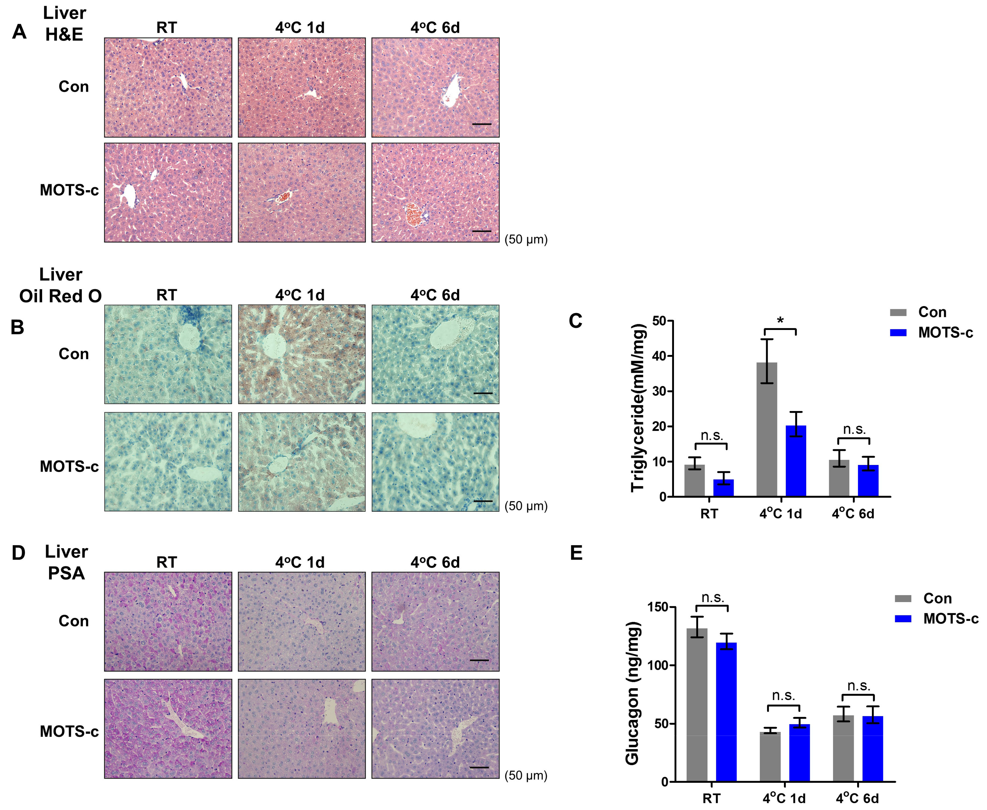 Ijms 20 02456 g002