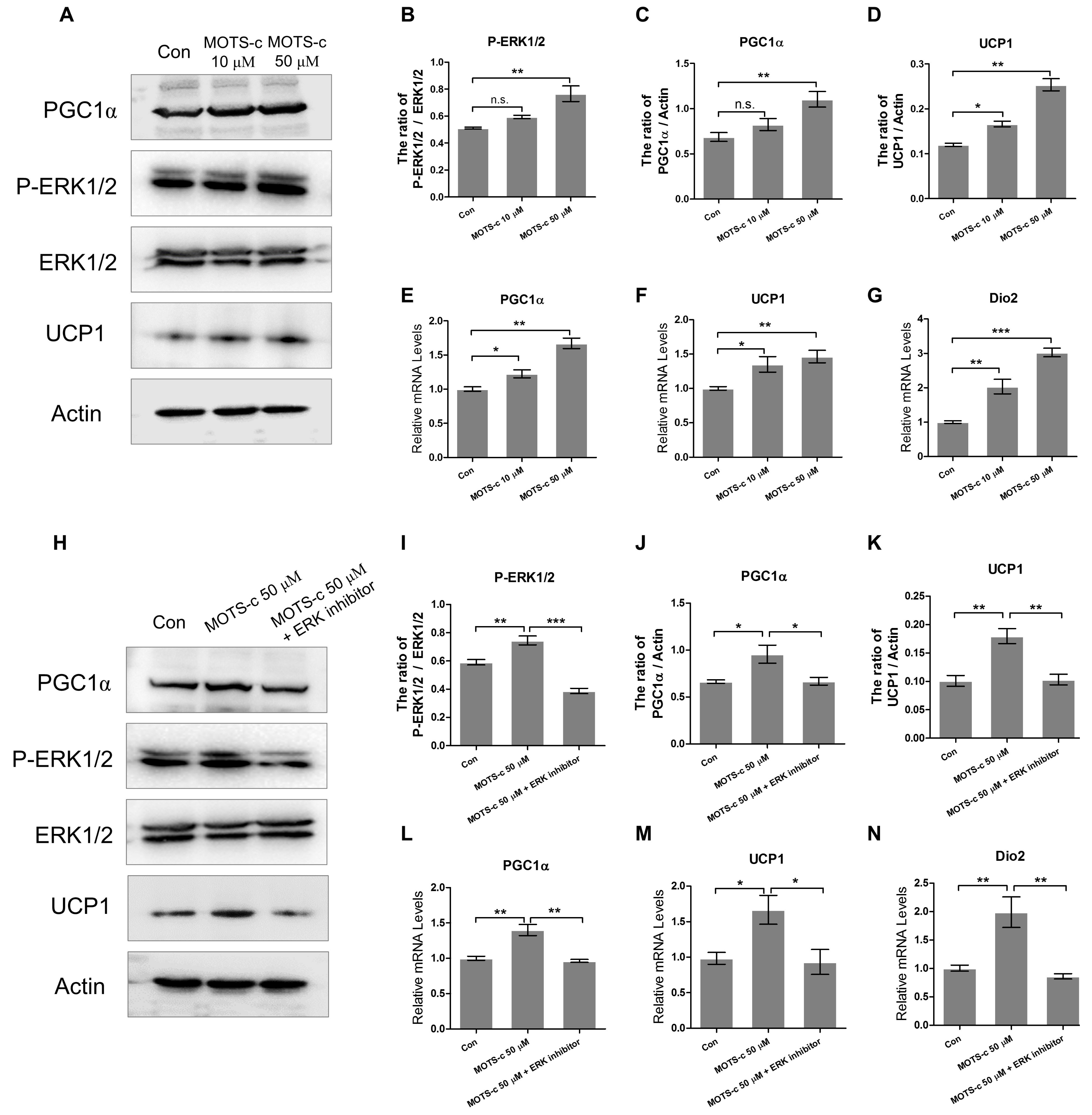 Ijms 20 02456 g004