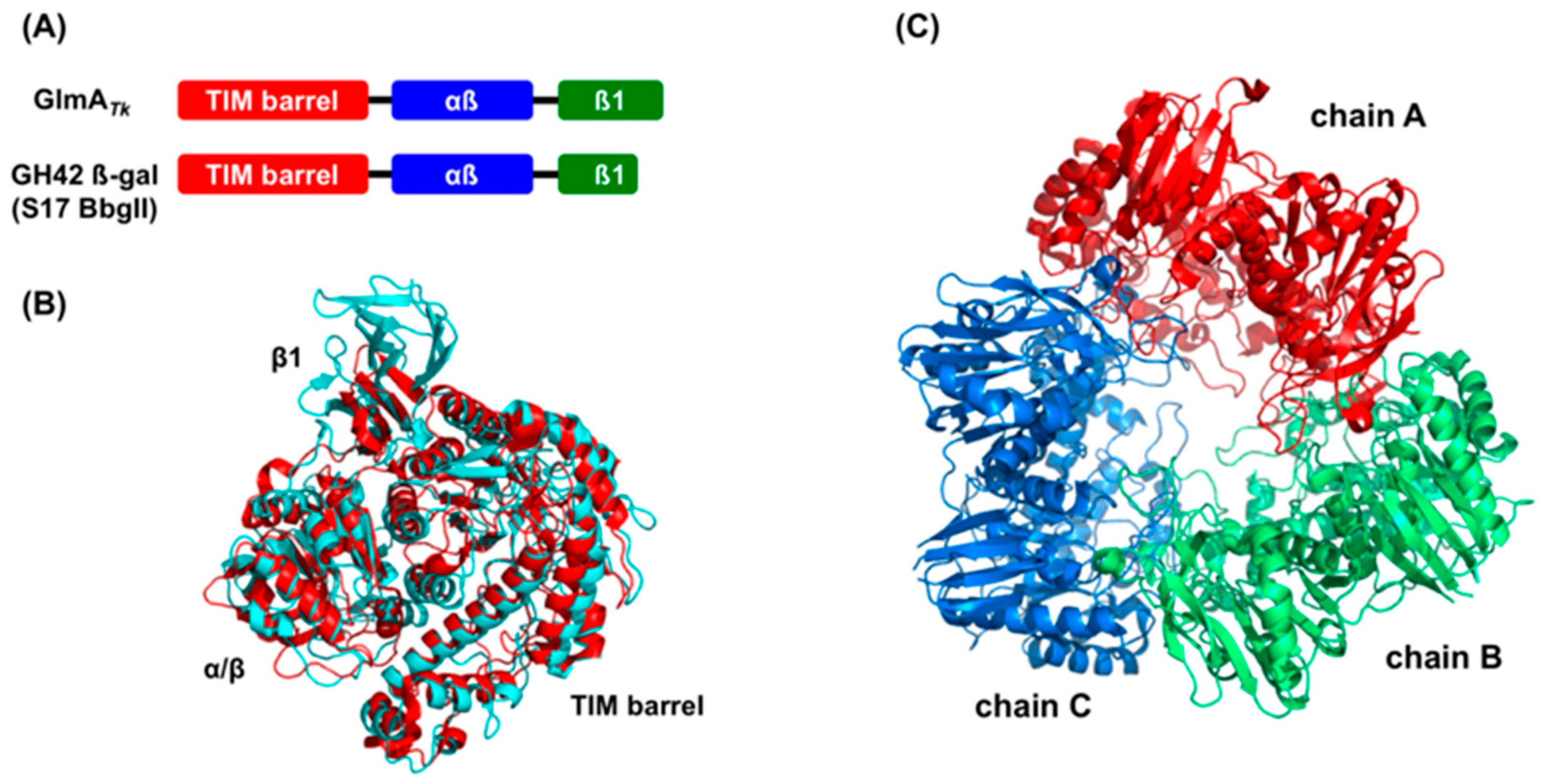 Ijms Free Full Text Structural Insights Into The Molecular