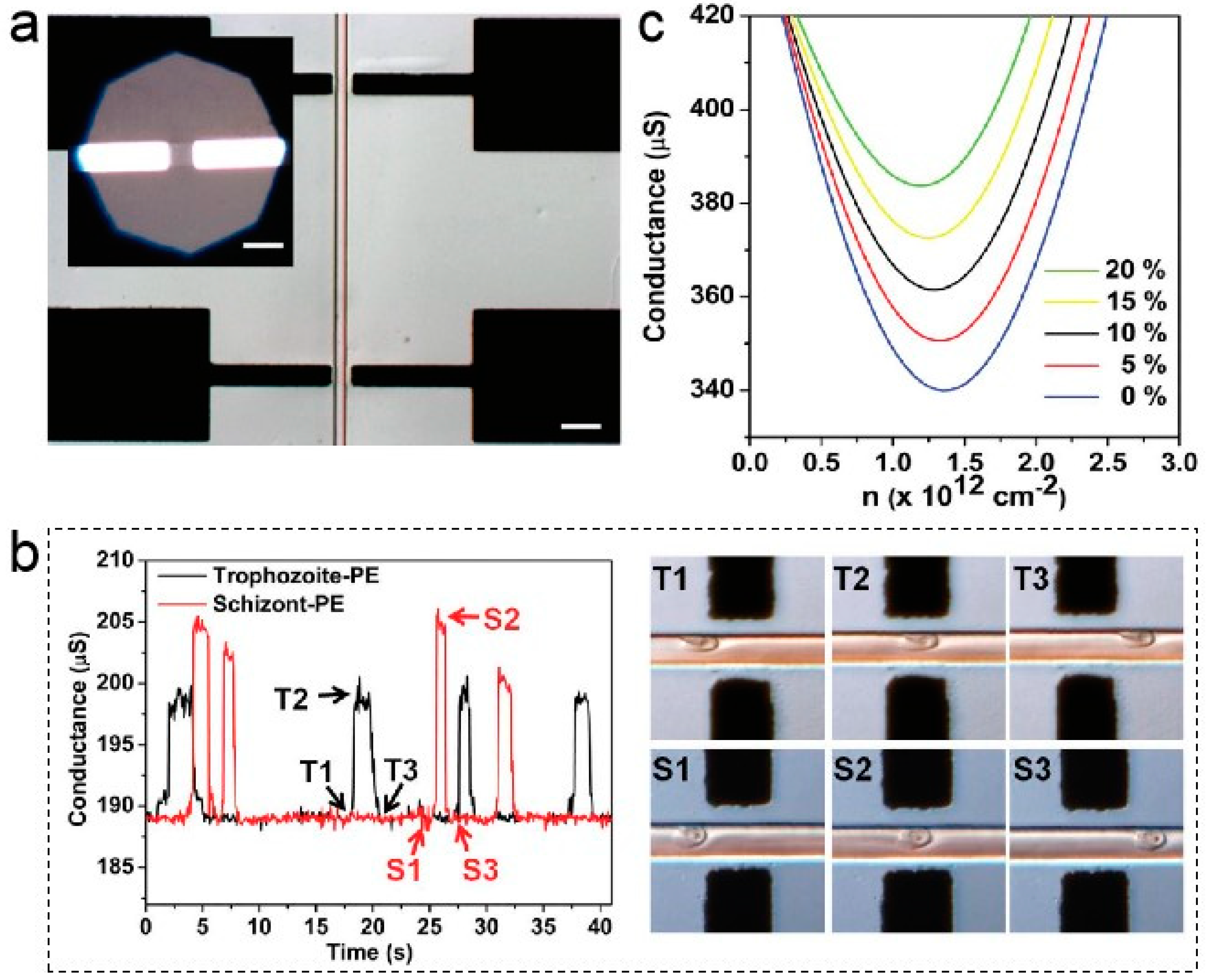 IJMS | Free Full-Text | Graphene Optical Biosensors