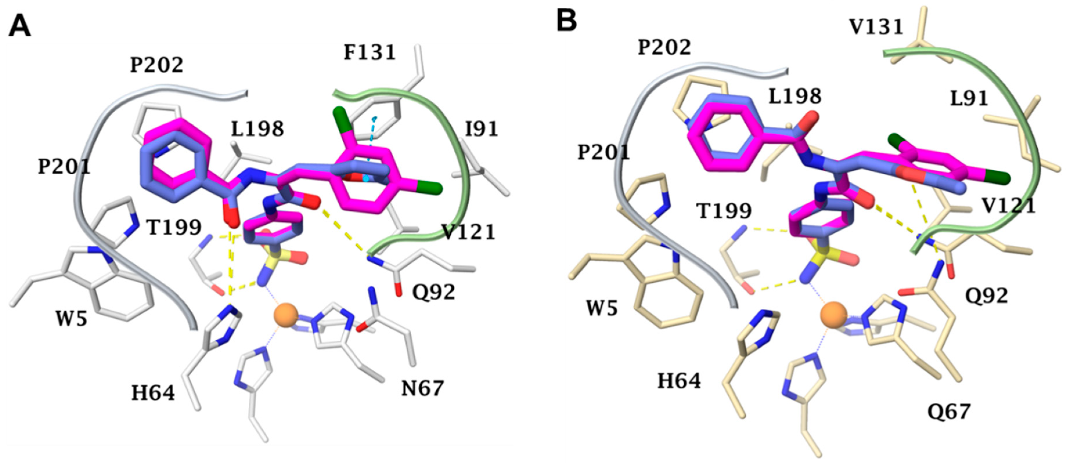Ijms 20 02484 g005 Ijms 20 02484 g005