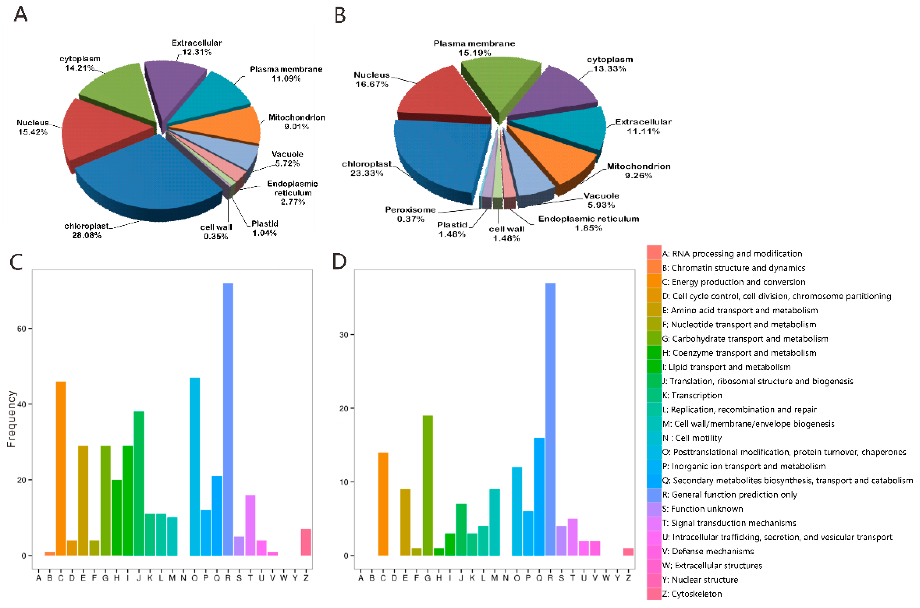 Ijms 20 02486 g004 Ijms 20 02486 g004