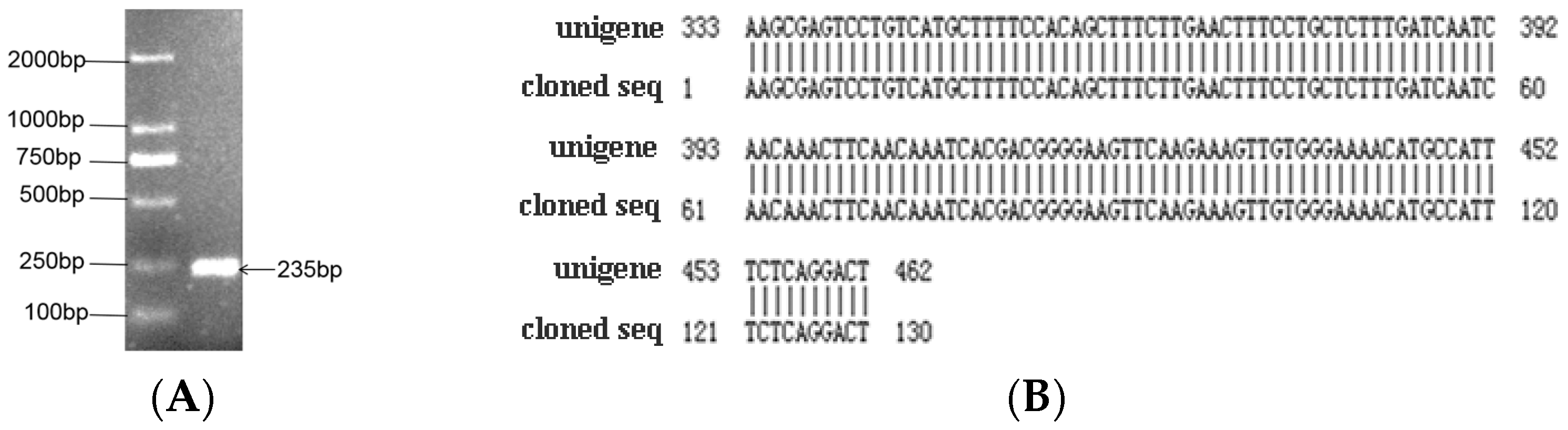 Ijms 20 02501 g001 Ijms 20 02501 g001