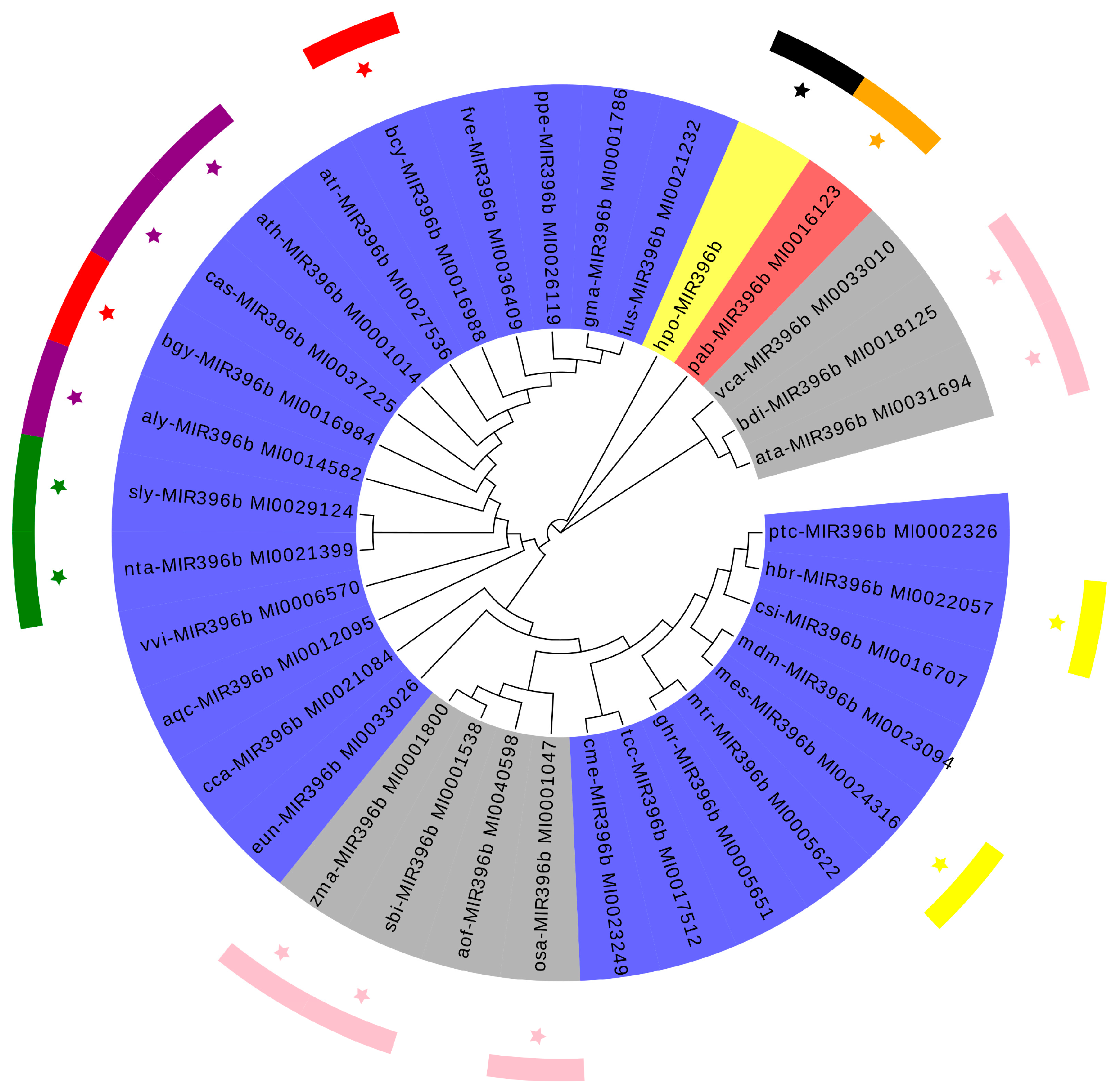 Ijms 20 02501 g003 Ijms 20 02501 g003