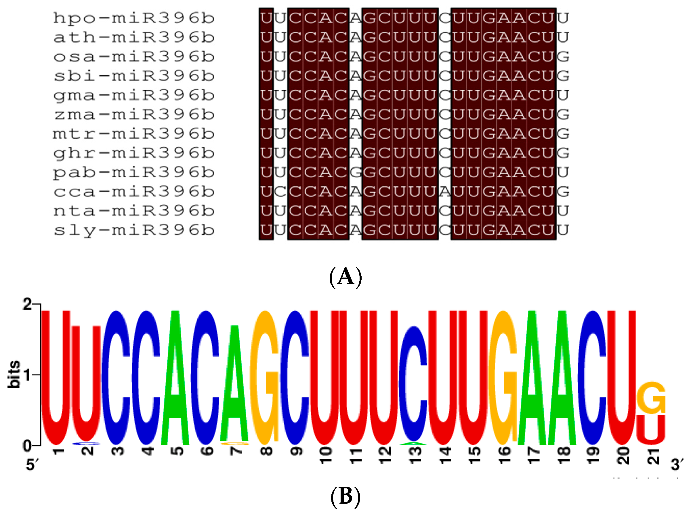 Ijms 20 02501 g004 Ijms 20 02501 g004