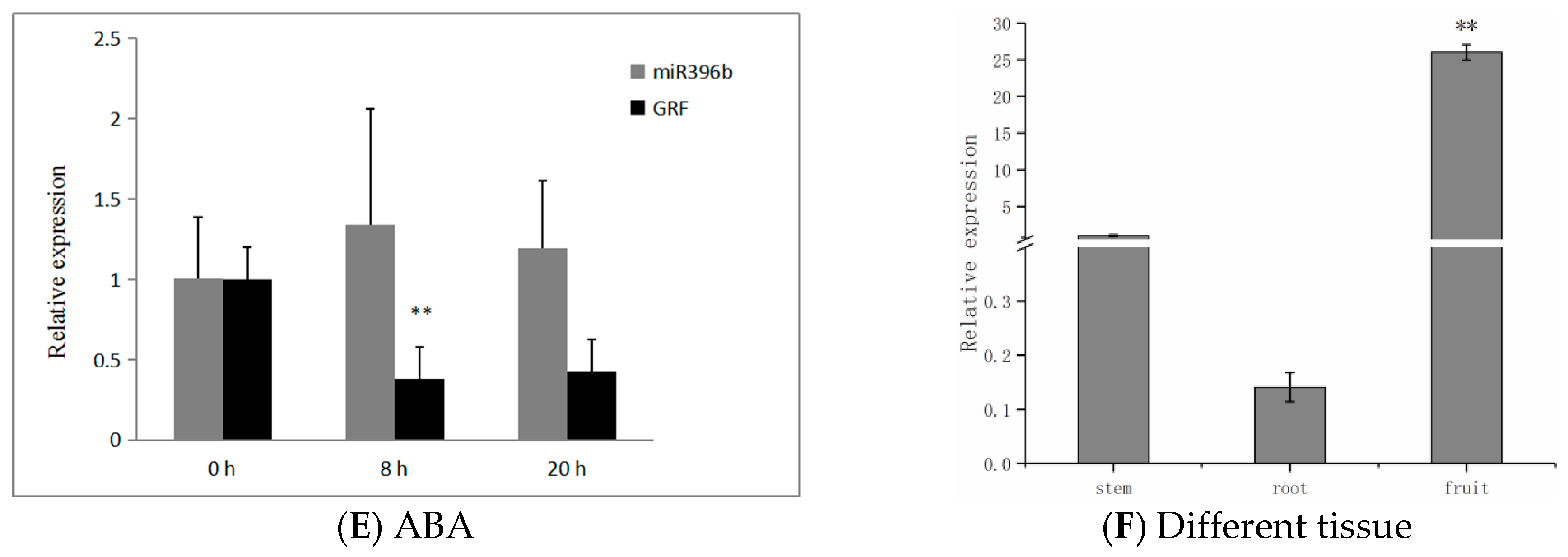 Ijms 20 02501 g008b Ijms 20 02501 g008b