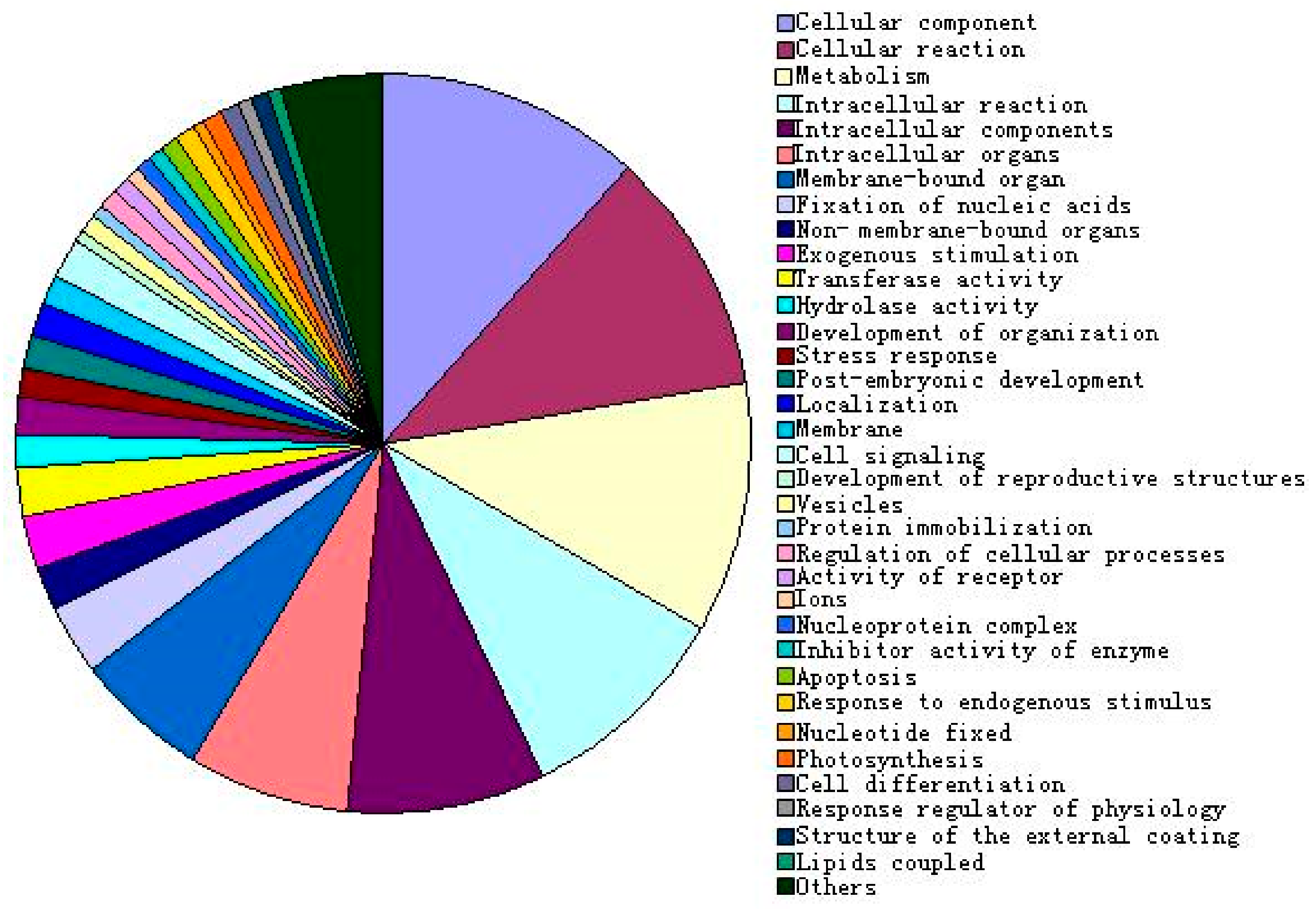 Ijms 20 02543 g004 Ijms 20 02543 g004