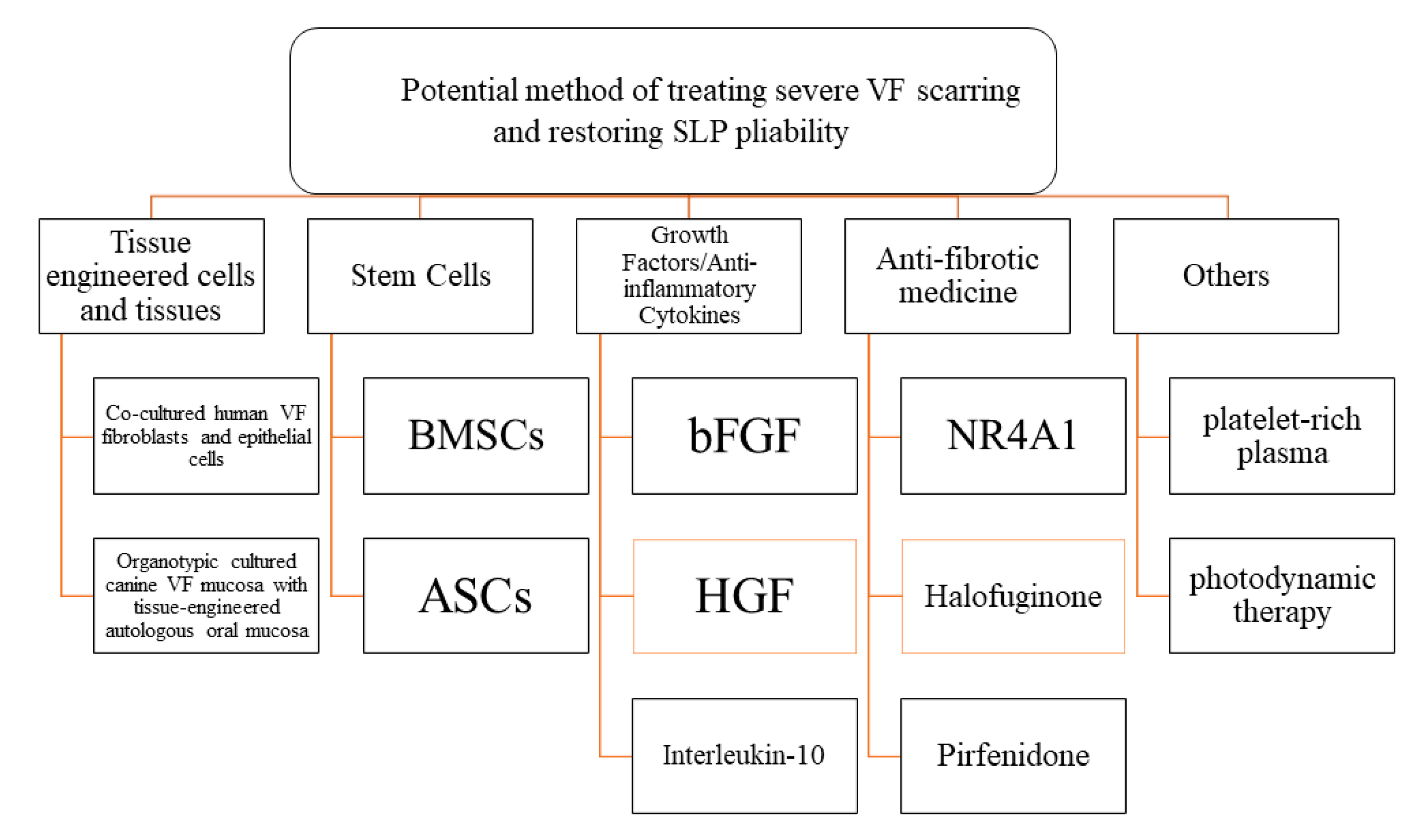 Ijms Free Full Text Pathophysiology Of Fibrosis In The Vocal Fold Current Research Future Treatment Strategies And Obstacles To Restoring Vocal Fold Pliability Html