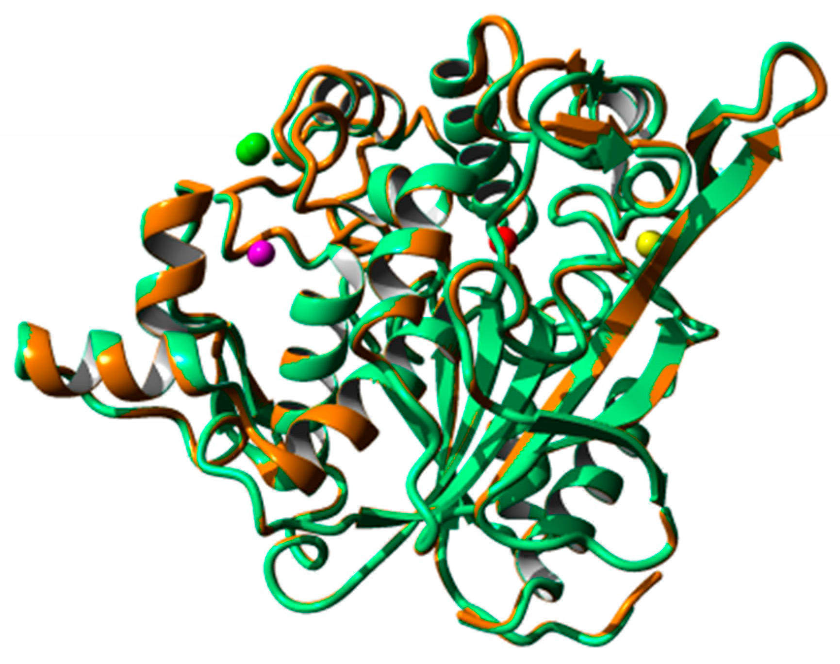 Ijms 20 02561 g008 Ijms 20 02561 g008