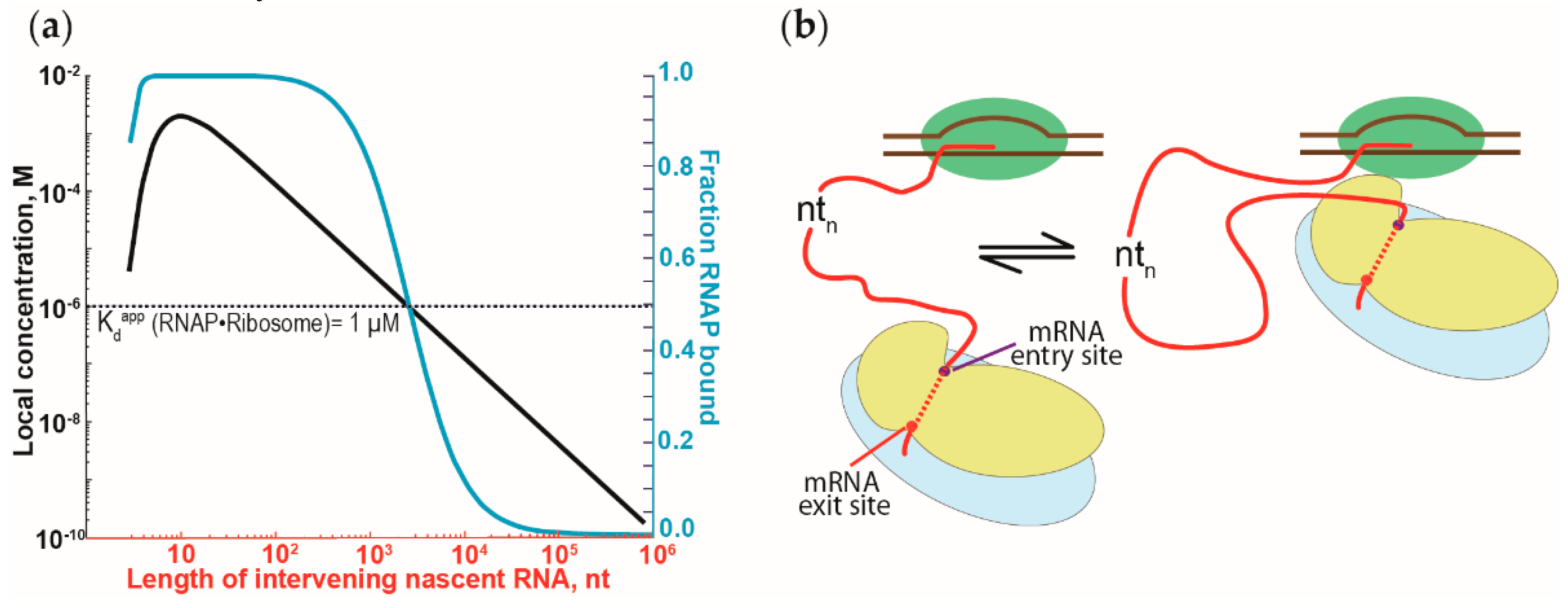 Ijms 20 02595 g004 Ijms 20 02595 g004