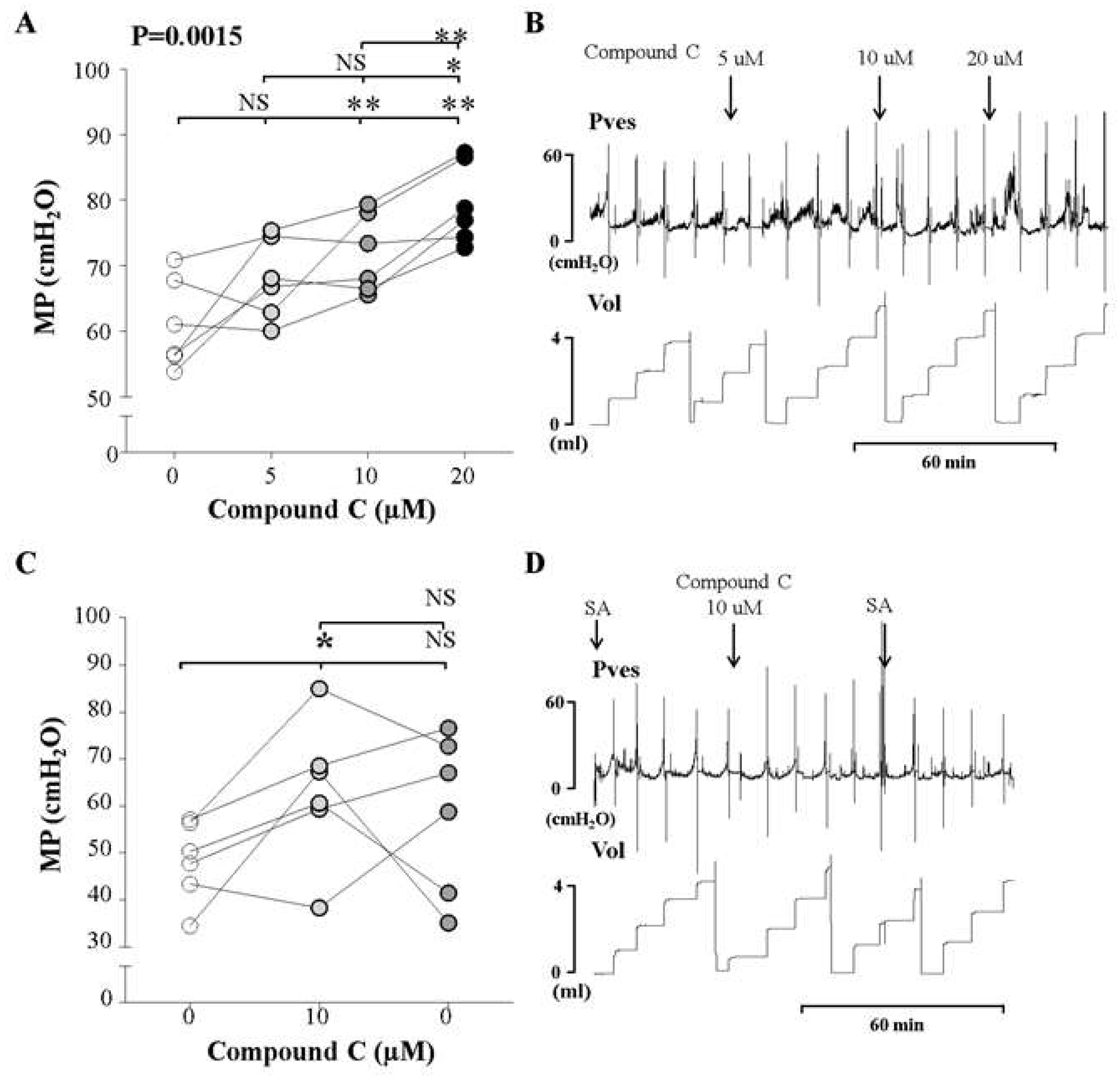 Ijms 20 02650 g003 Ijms 20 02650 g003