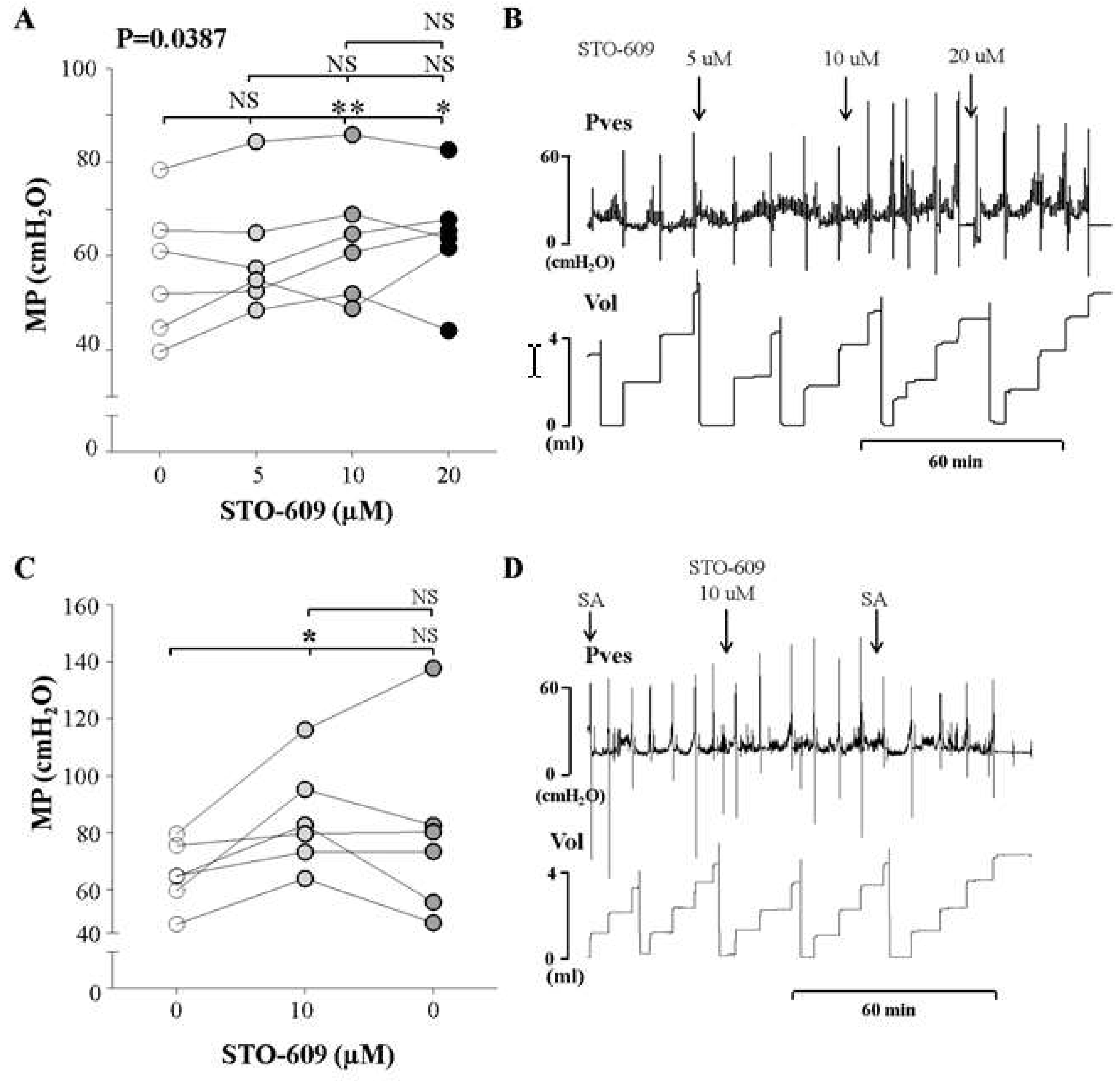 Ijms 20 02650 g004 Ijms 20 02650 g004