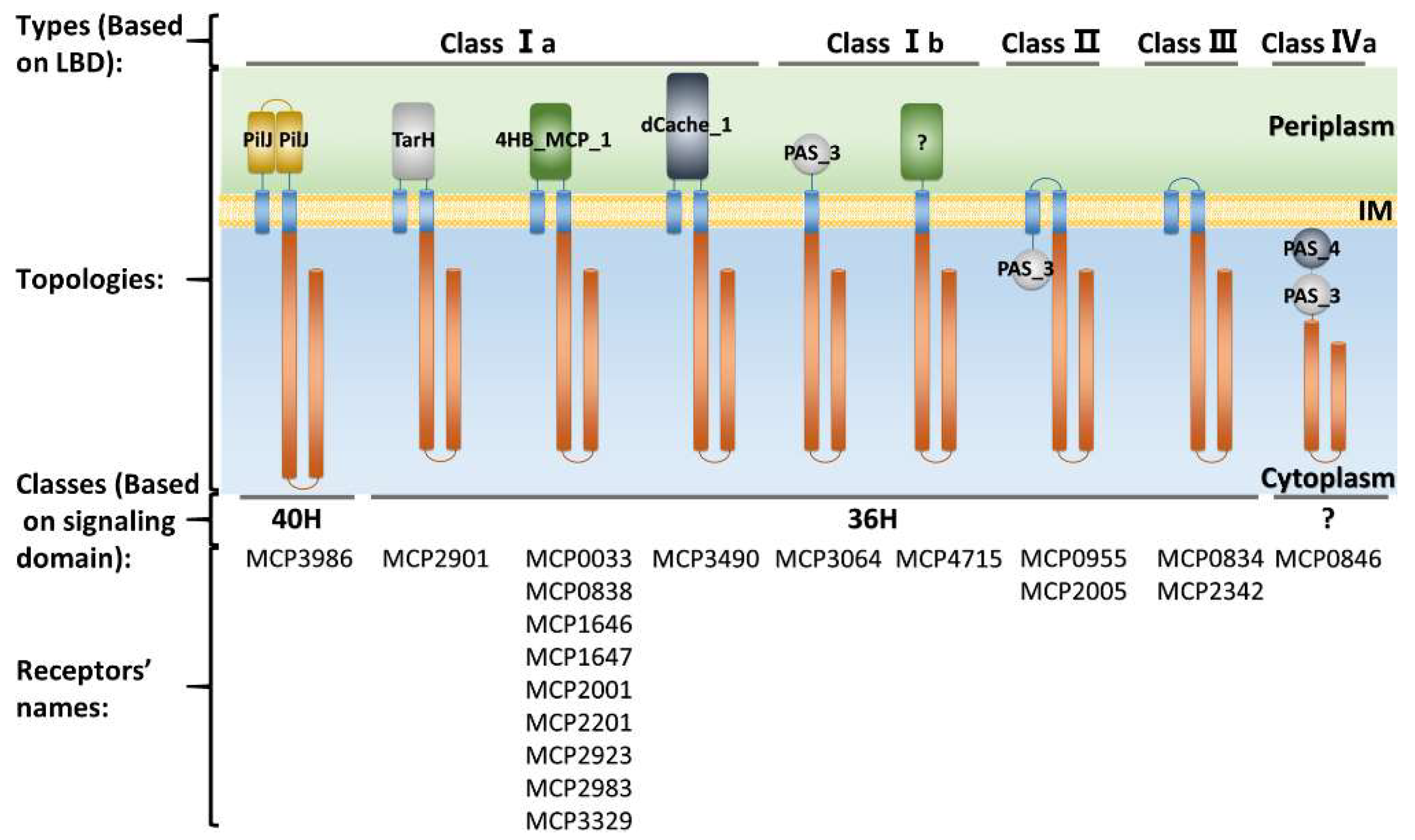 Ijms 20 02701 g002 Ijms 20 02701 g002
