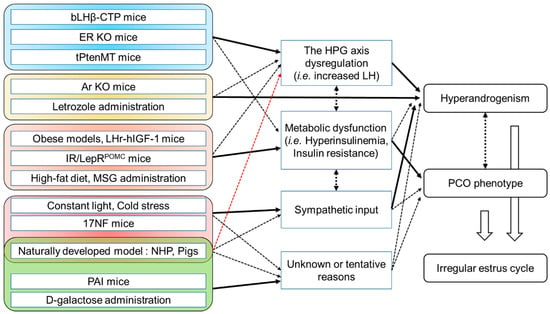 Ijms Free Full Text Animal Models For Human Polycystic Ovary Syndrome Pcos Focused On The Use Of Indirect Hormonal Perturbations A Review Of The Literature Html