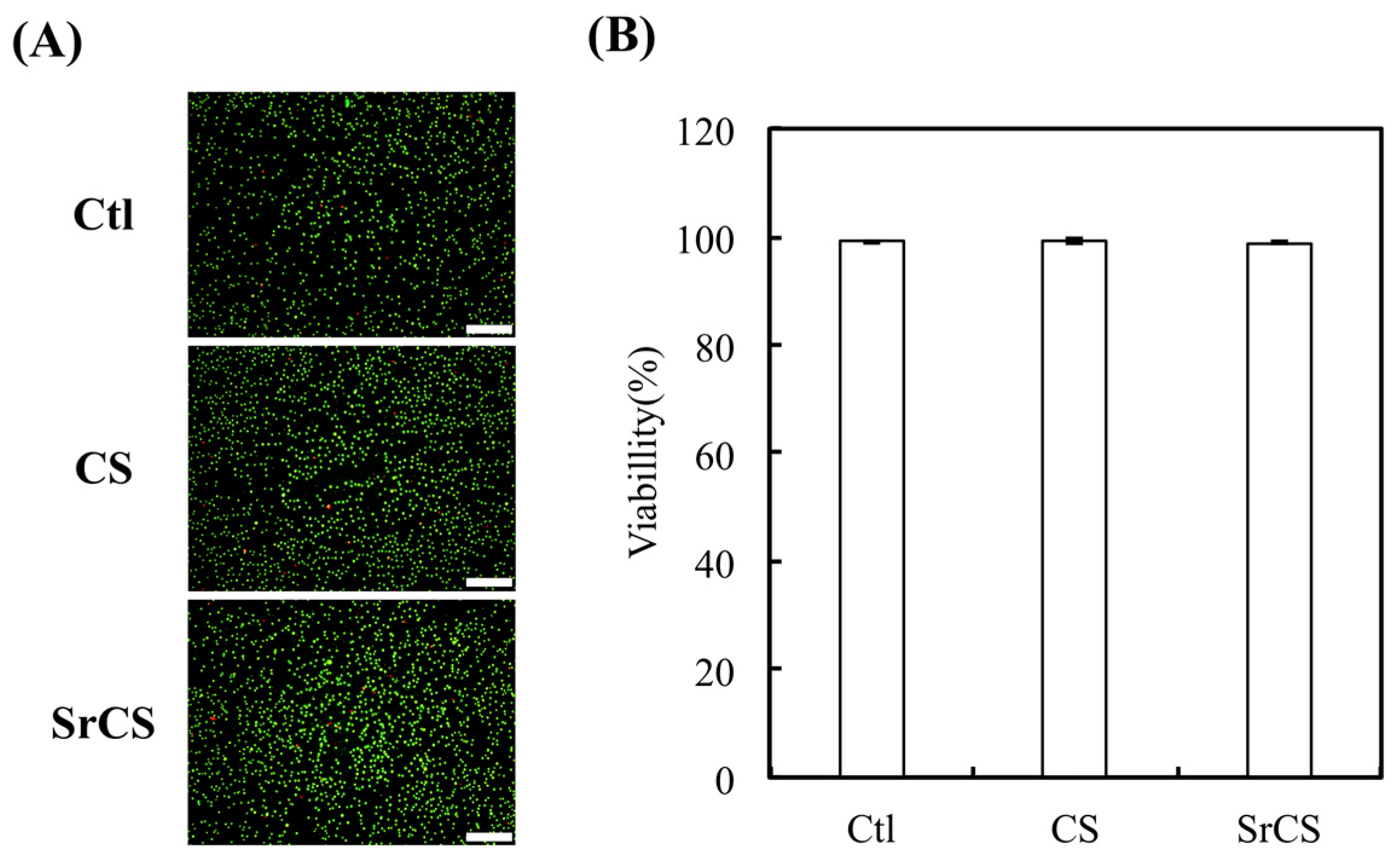 Ijms 20 02729 g007 Ijms 20 02729 g007