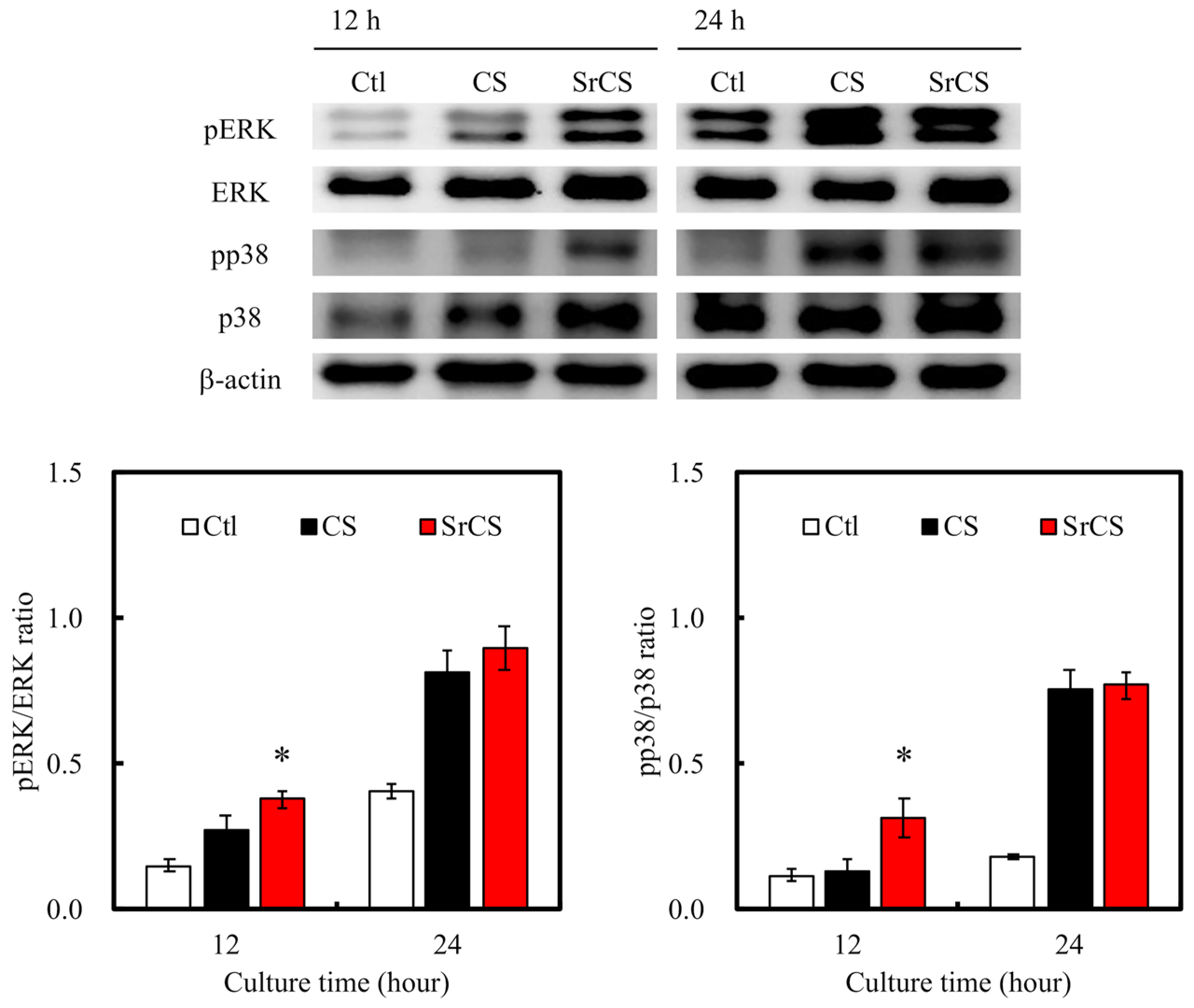 Ijms 20 02729 g009 Ijms 20 02729 g009