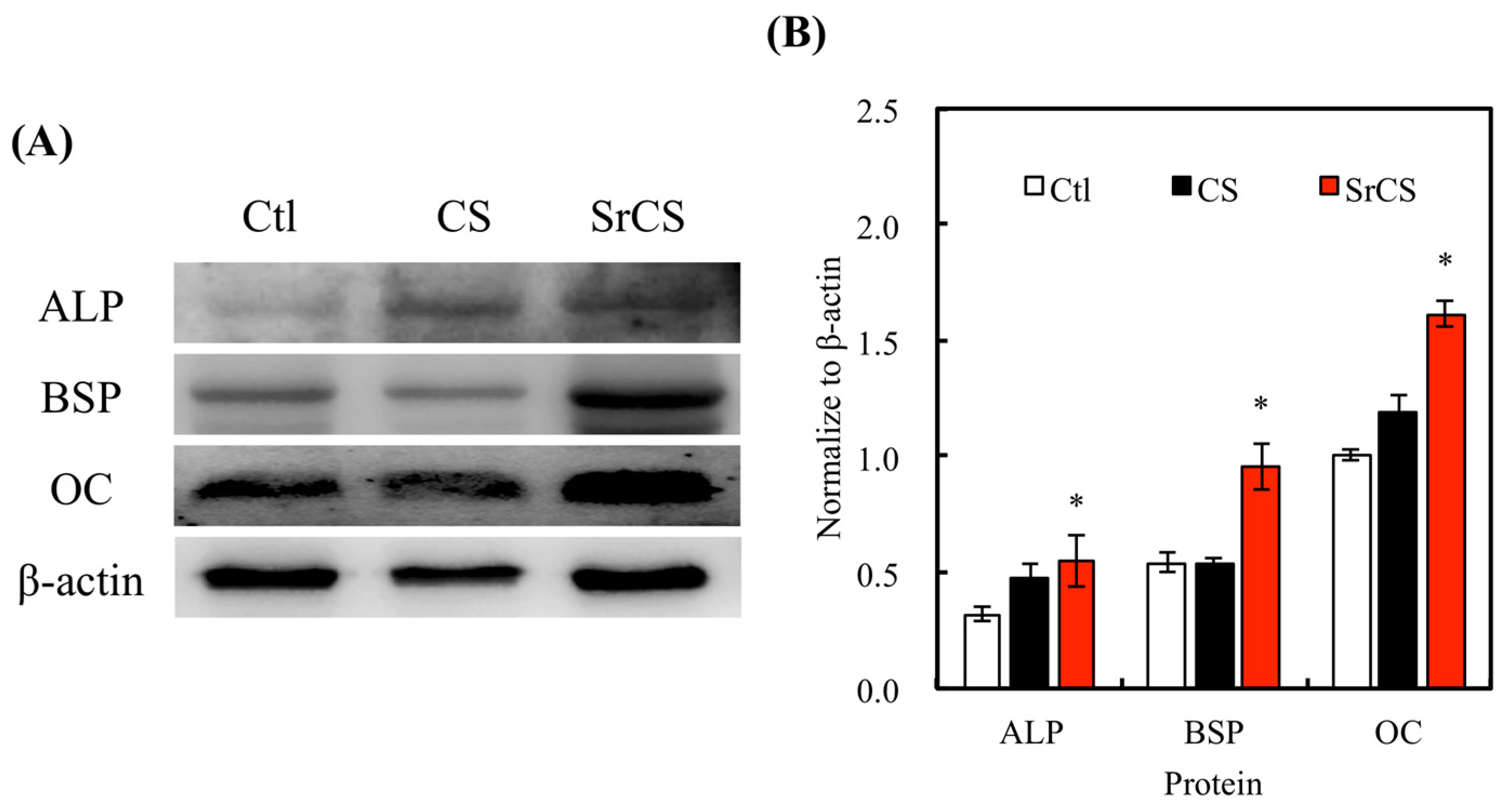 Ijms 20 02729 g010 Ijms 20 02729 g010