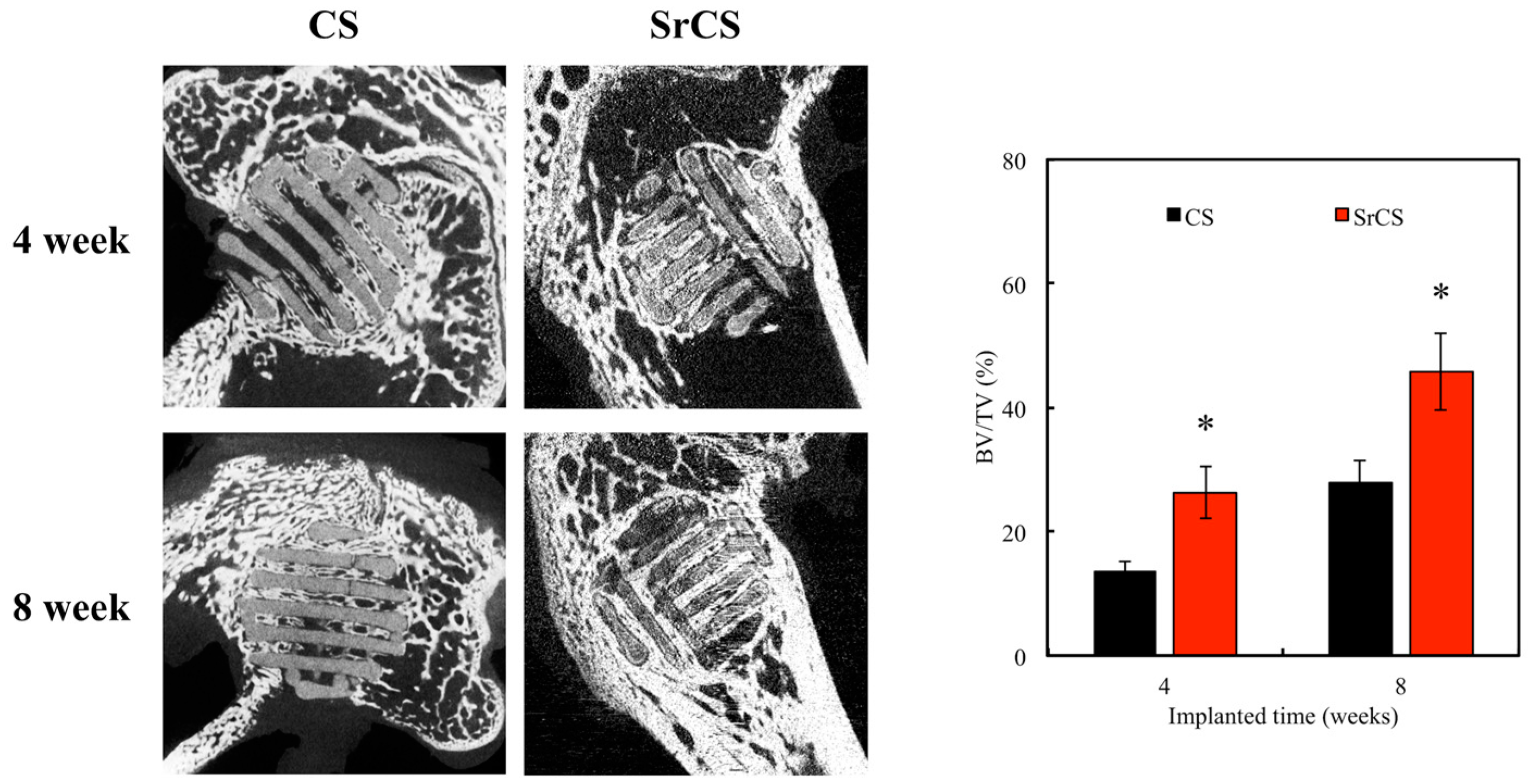 Ijms 20 02729 g013 Ijms 20 02729 g013