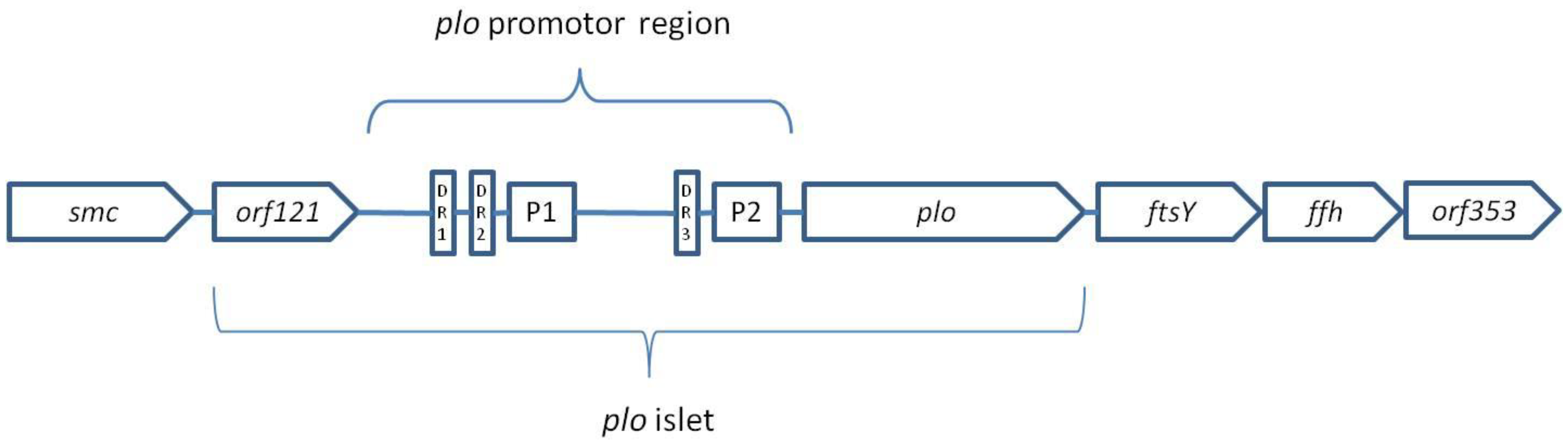 Ijms 20 02737 g003 Ijms 20 02737 g003