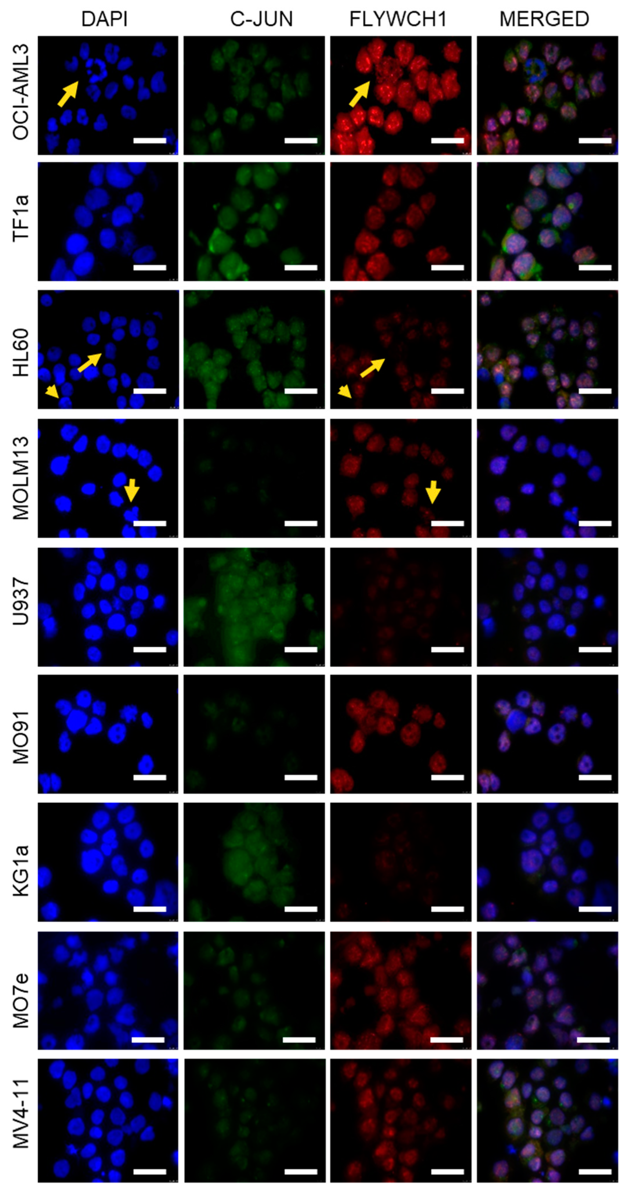 Ijms 20 02739 g002 Ijms 20 02739 g002