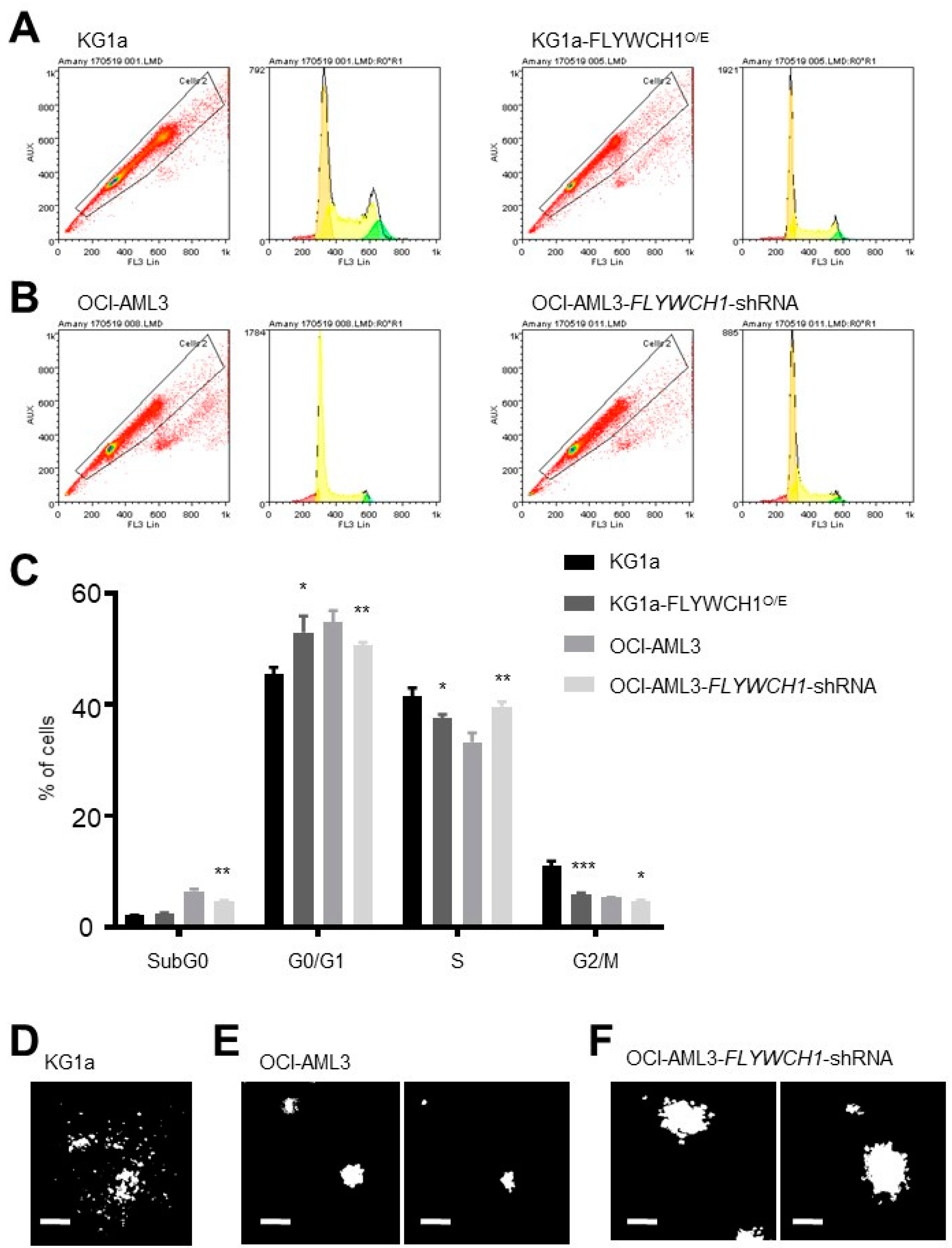 Ijms 20 02739 g004 Ijms 20 02739 g004