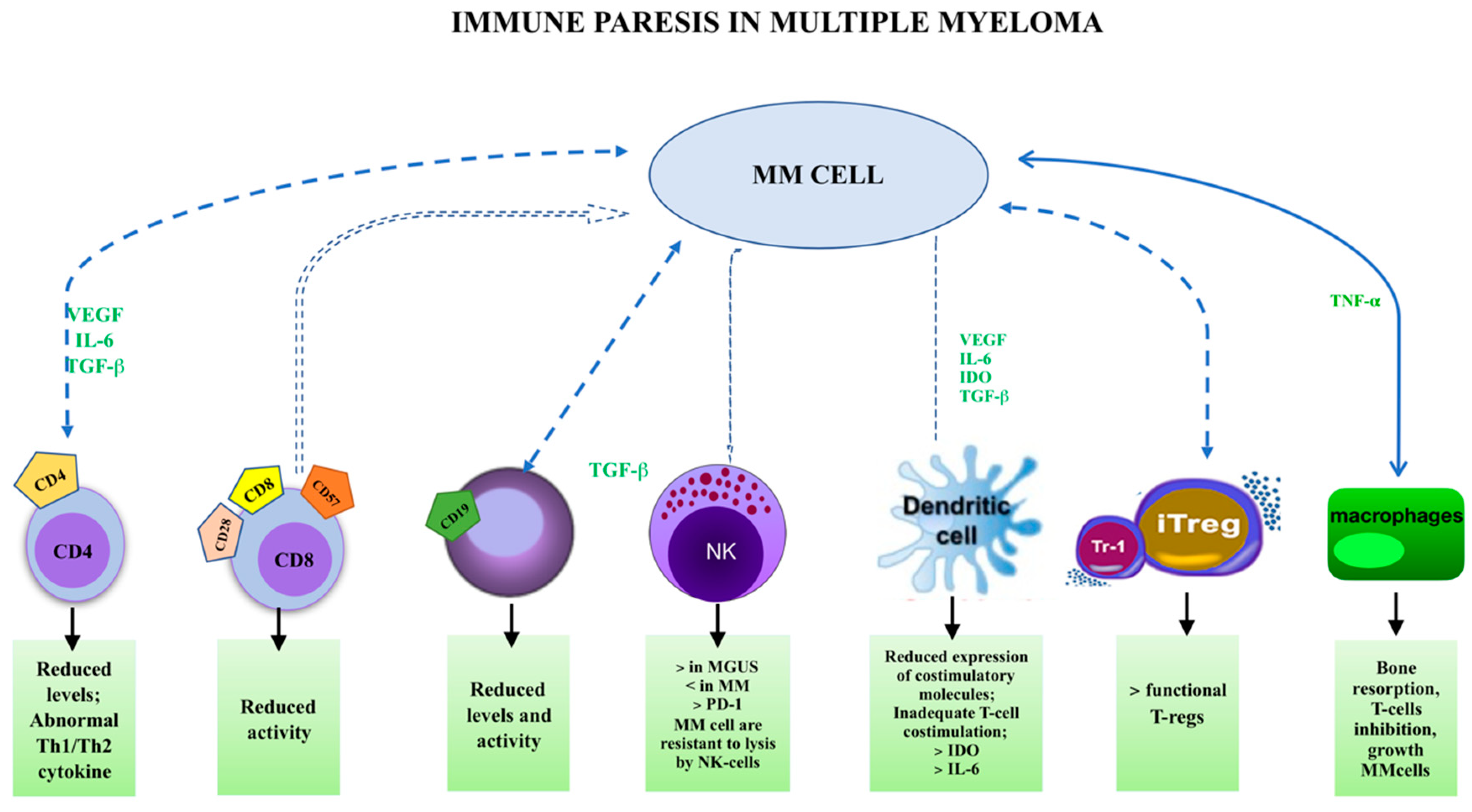 IJMS | Free Full-Text | Lymphocyte Subsets and Inflammatory Cytokines of Monoclonal  Gammopathy of Undetermined Significance and Multiple Myeloma